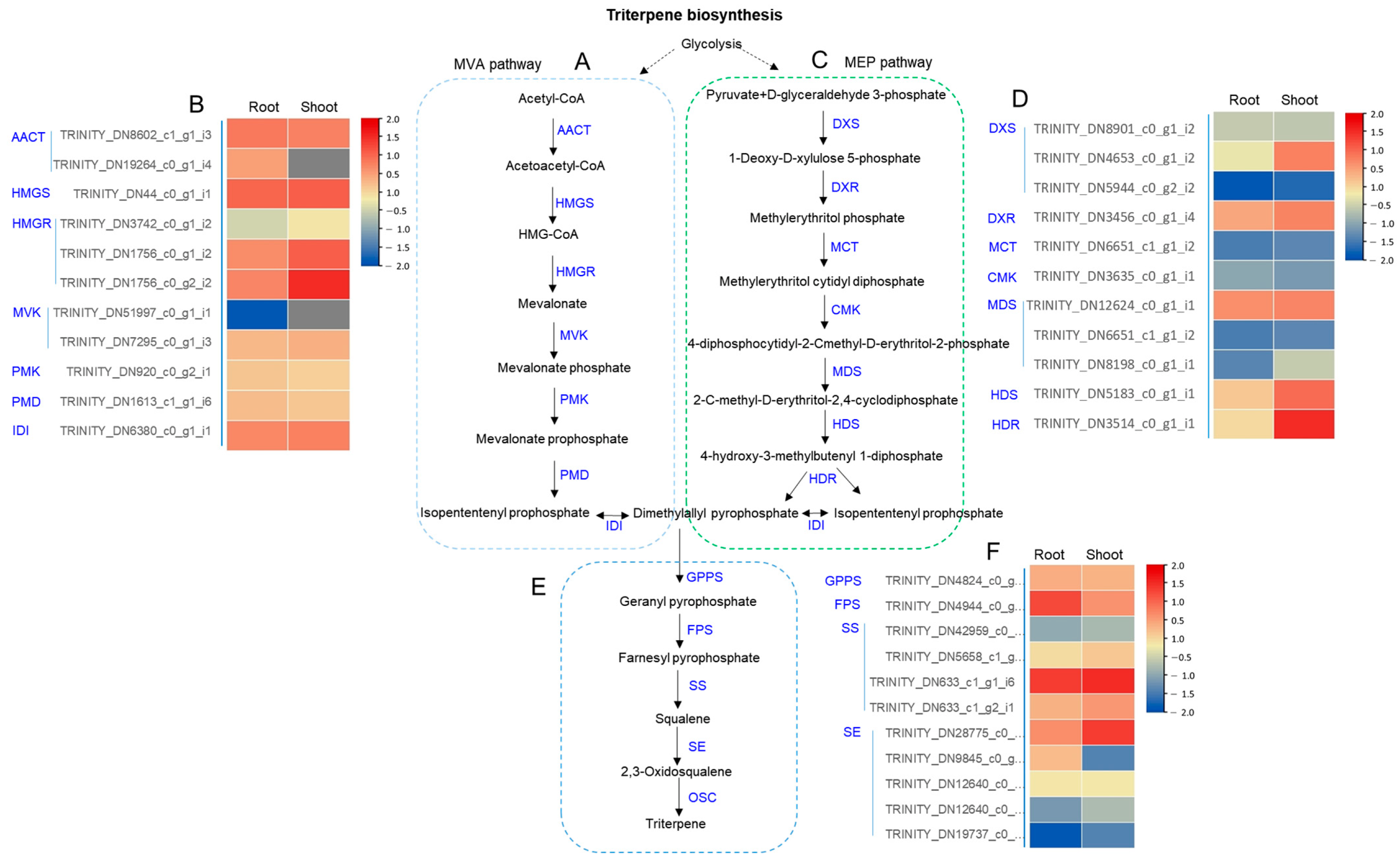 Ijms 24 05769 g004 Ijms 24 05769 g004