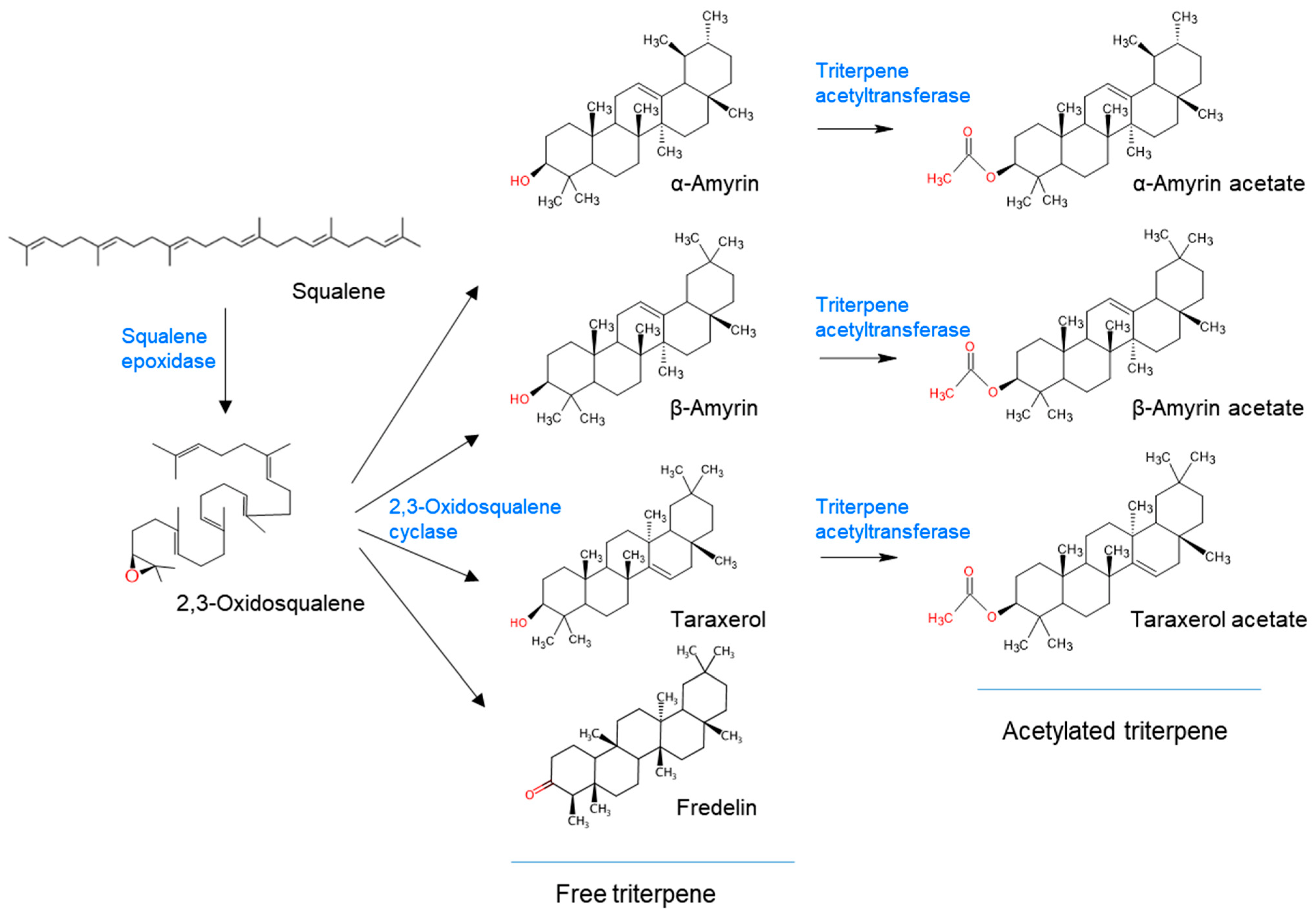 Ijms 24 05769 g005 Ijms 24 05769 g005
