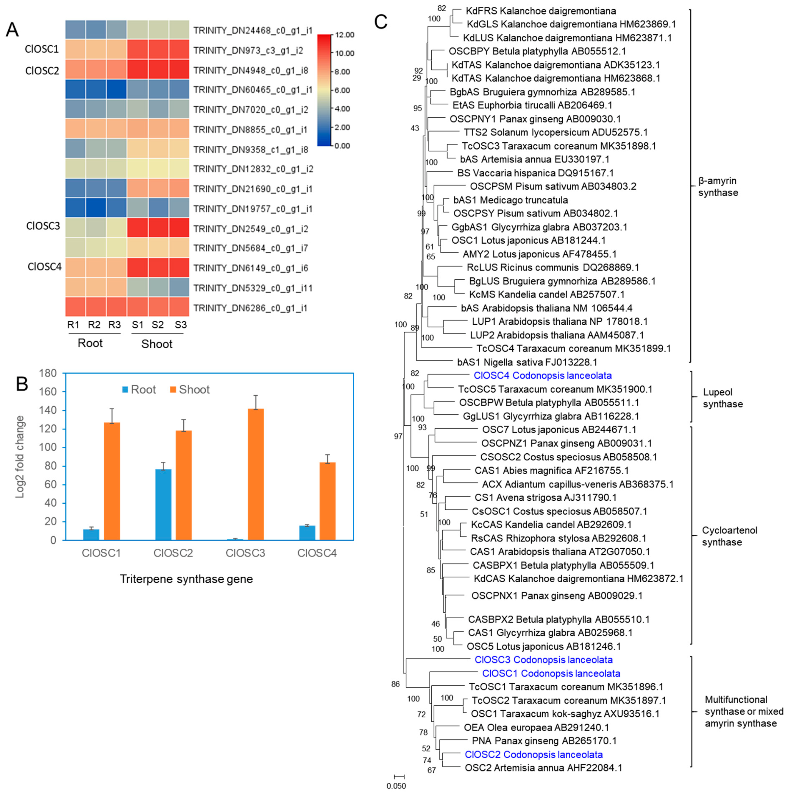 Ijms 24 05769 g006 Ijms 24 05769 g006