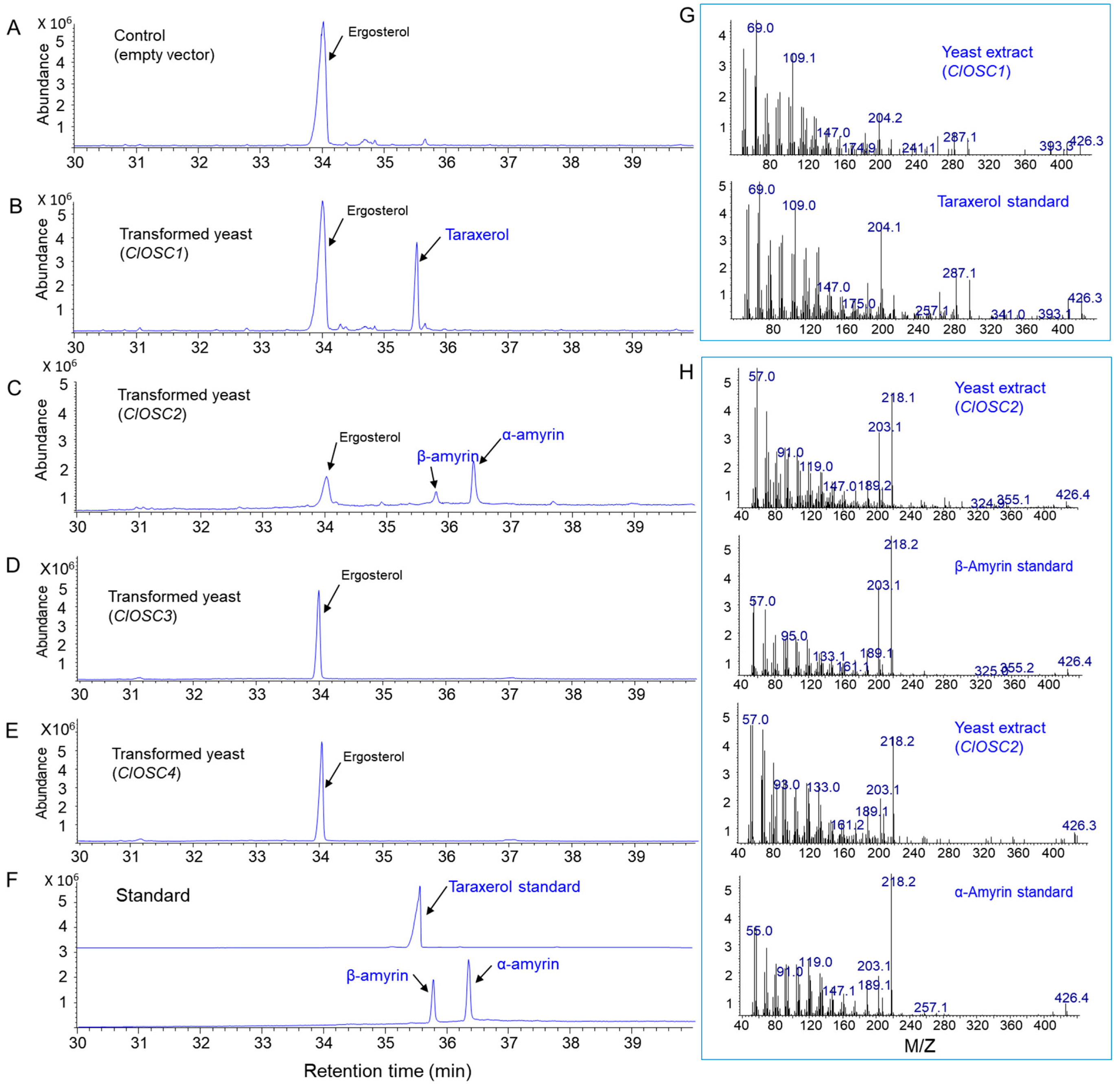 Ijms 24 05769 g007 Ijms 24 05769 g007