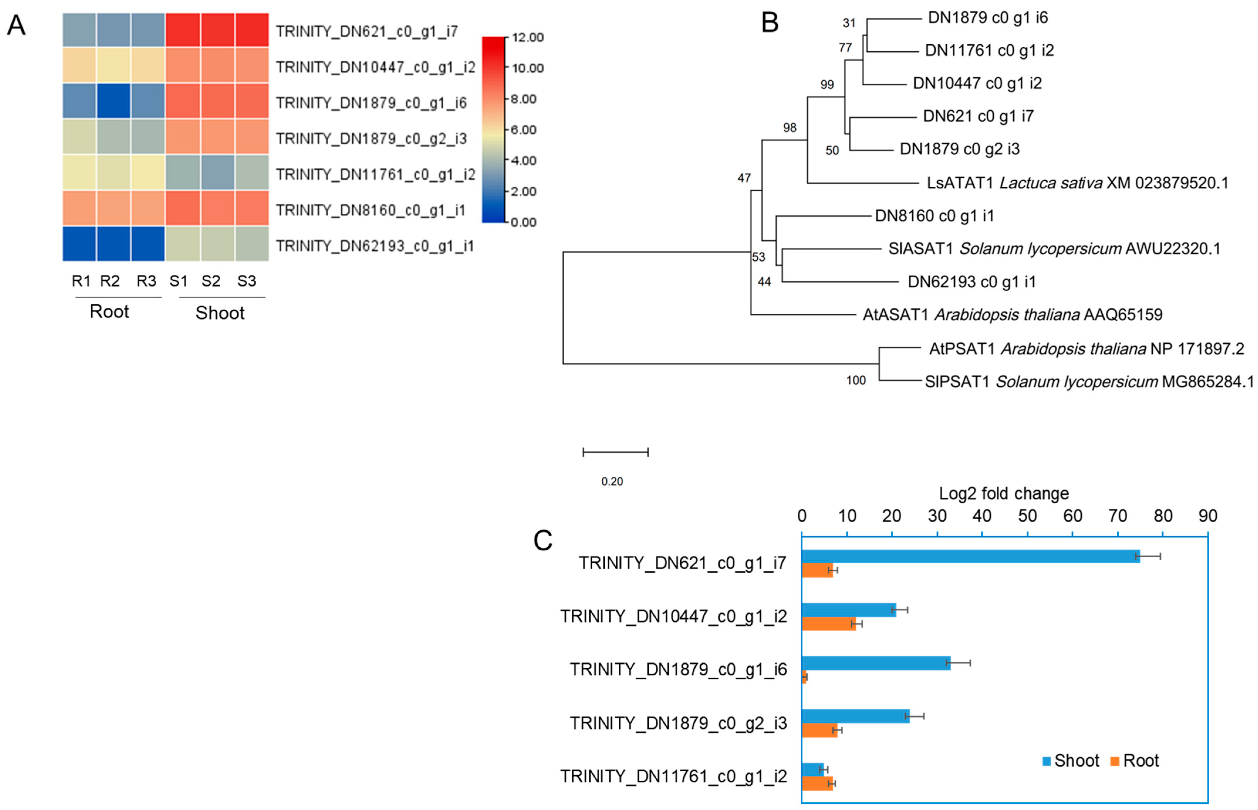 Ijms 24 05769 g008 Ijms 24 05769 g008
