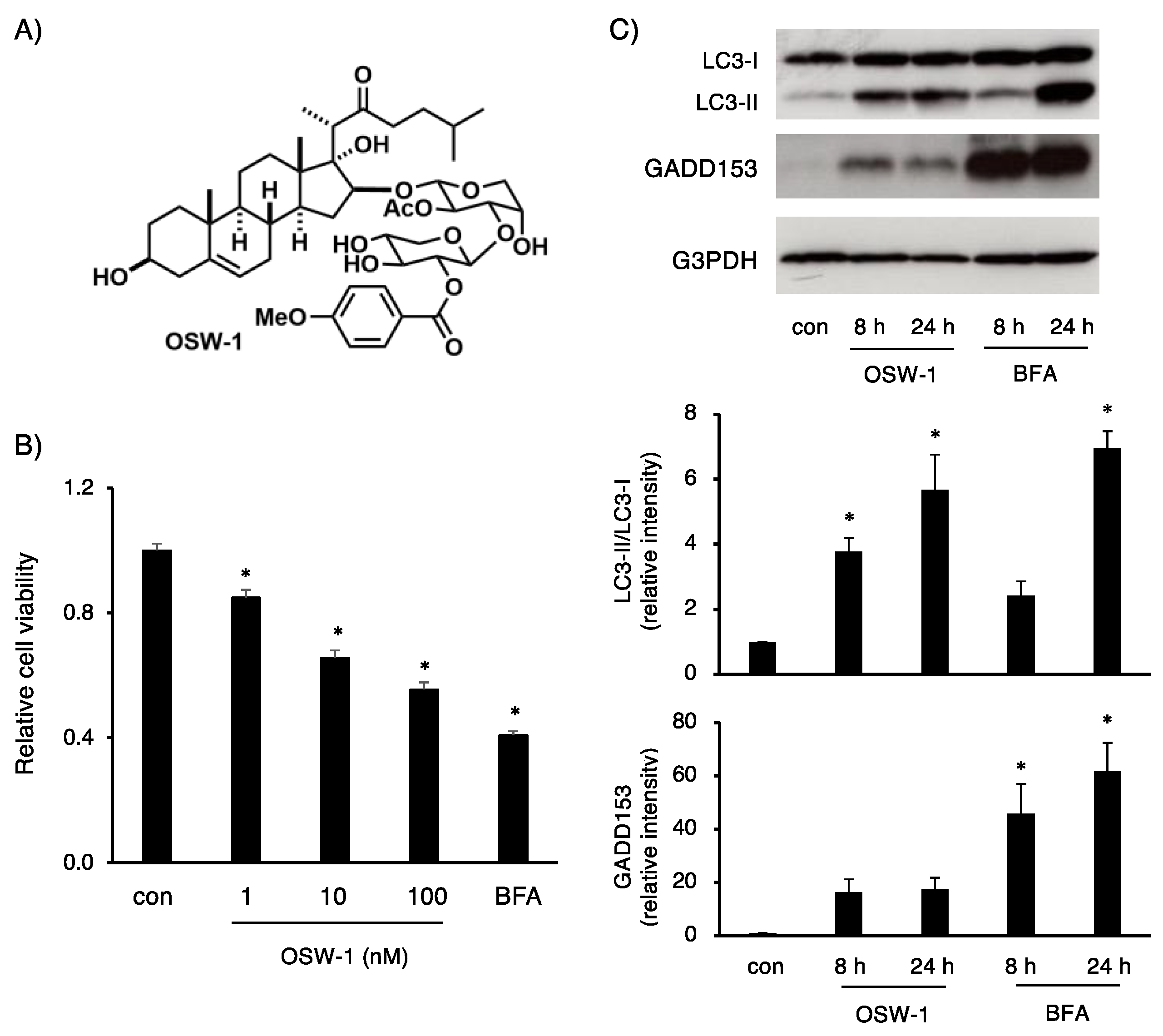 Ijms 24 05787 g001 Ijms 24 05787 g001