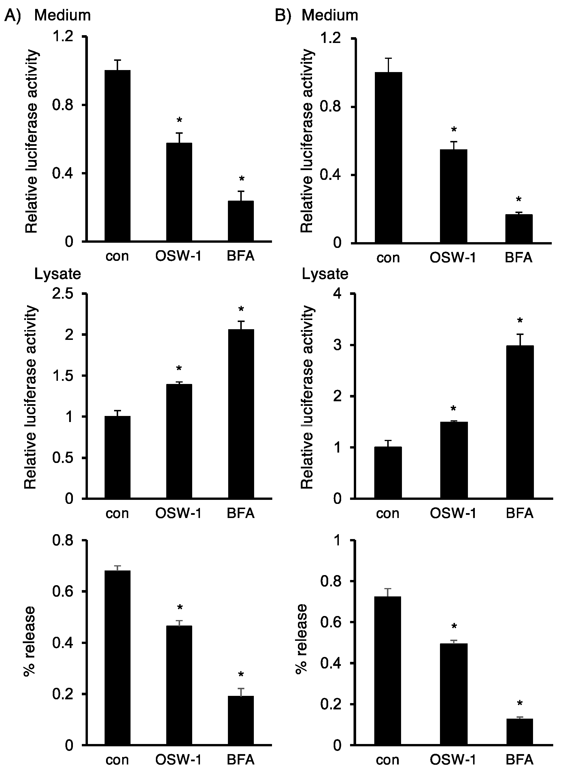 Ijms 24 05787 g004 Ijms 24 05787 g004