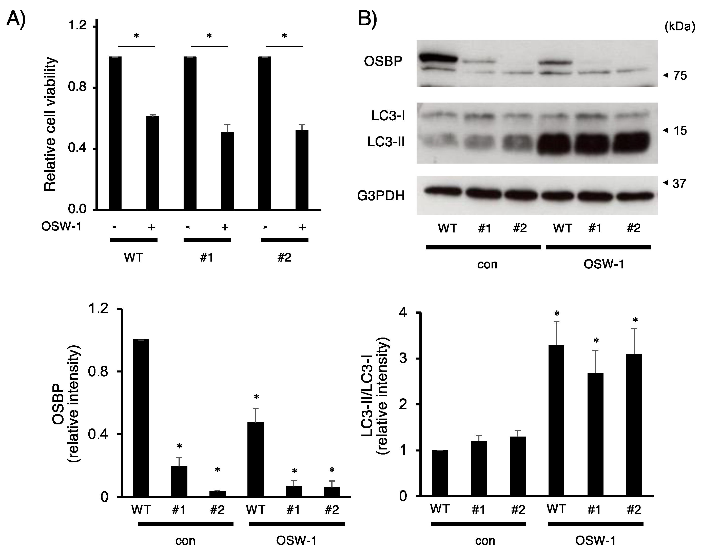 Ijms 24 05787 g006 Ijms 24 05787 g006