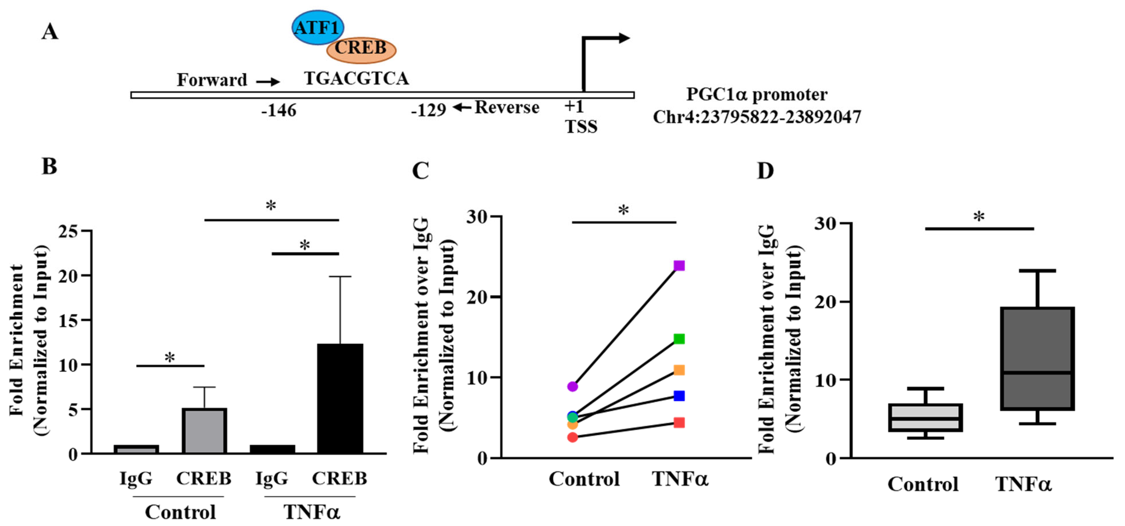Ijms 24 05788 g006 Ijms 24 05788 g006