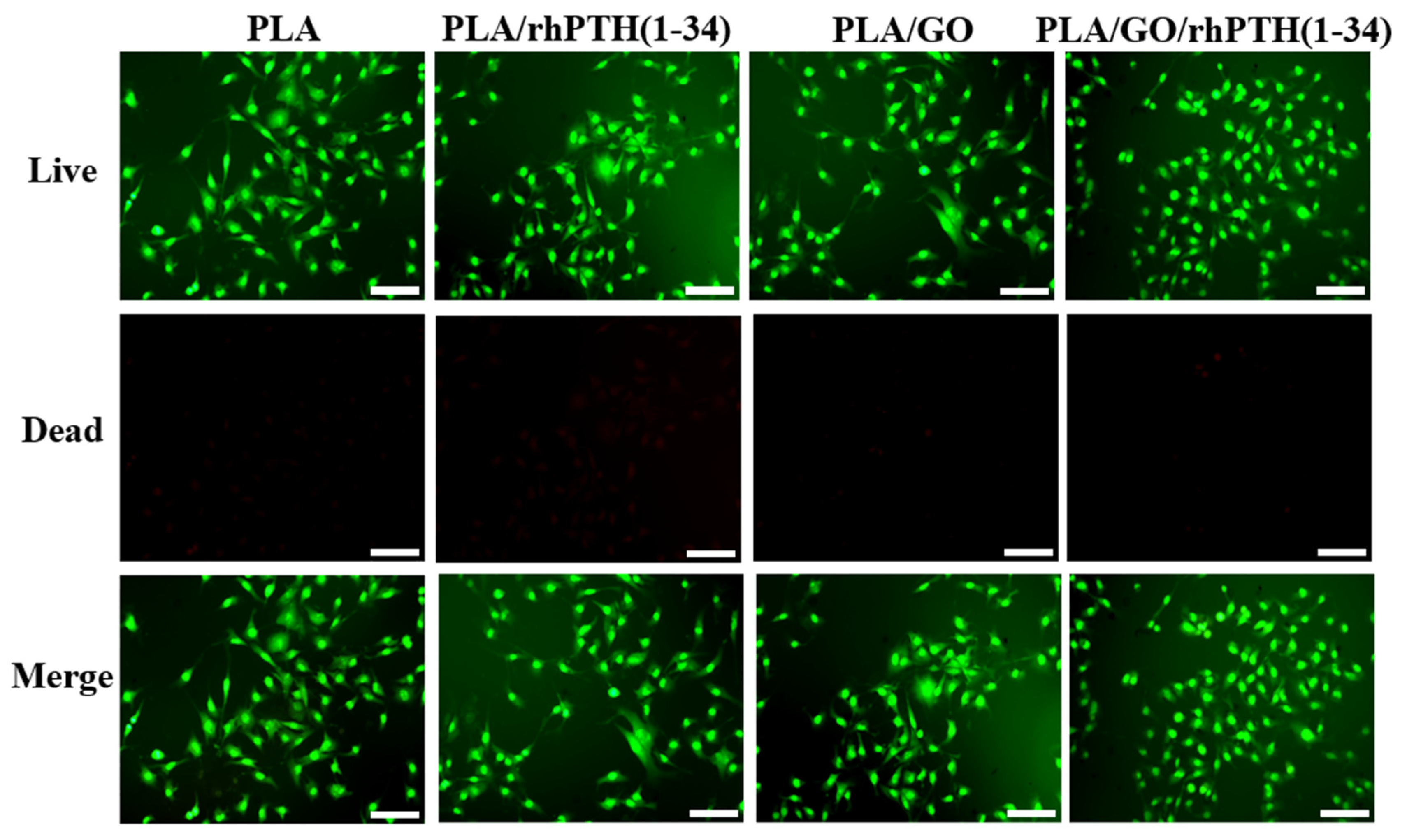 Ijms 24 05799 g006 Ijms 24 05799 g006