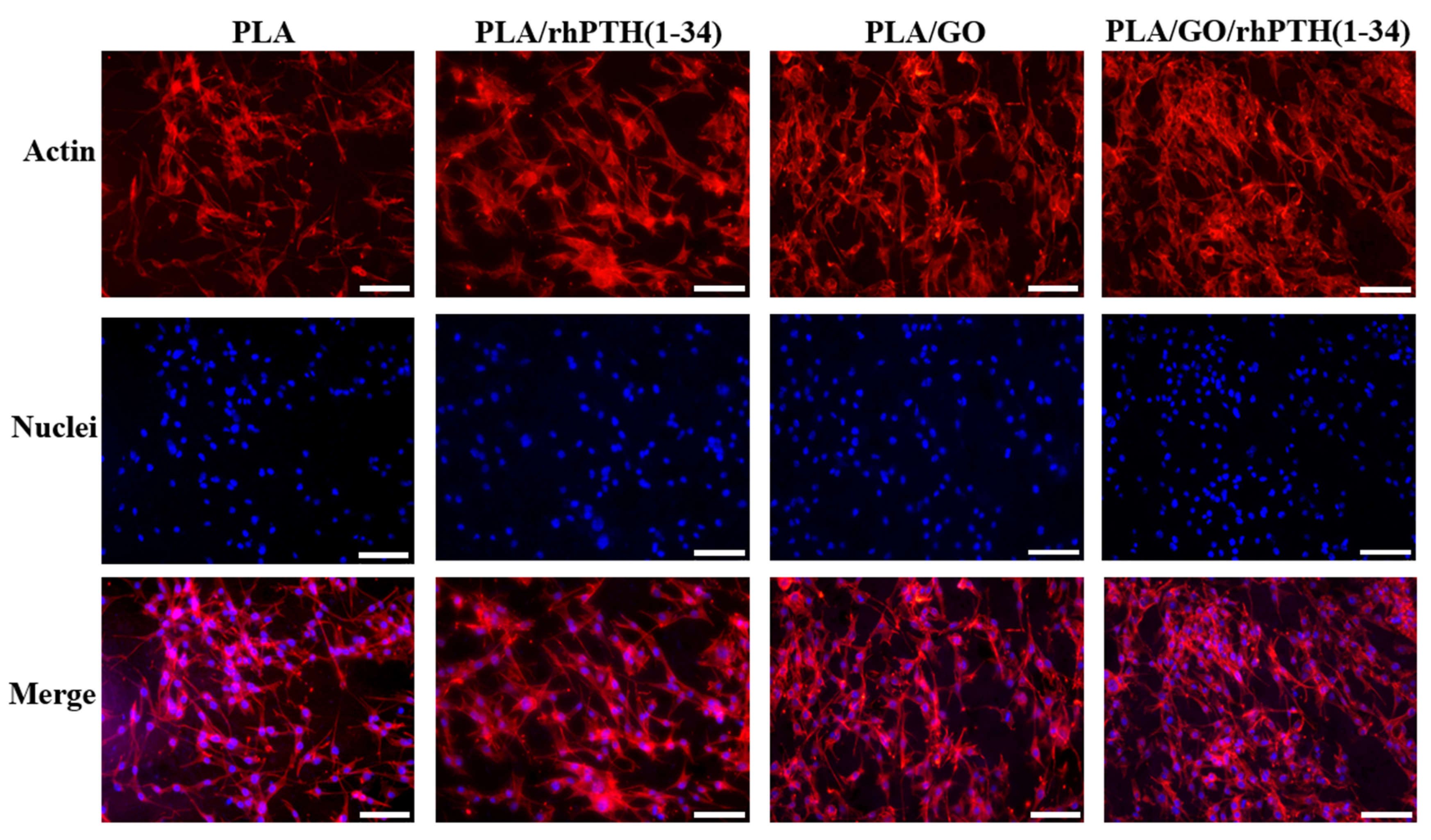 Ijms 24 05799 g007 Ijms 24 05799 g007