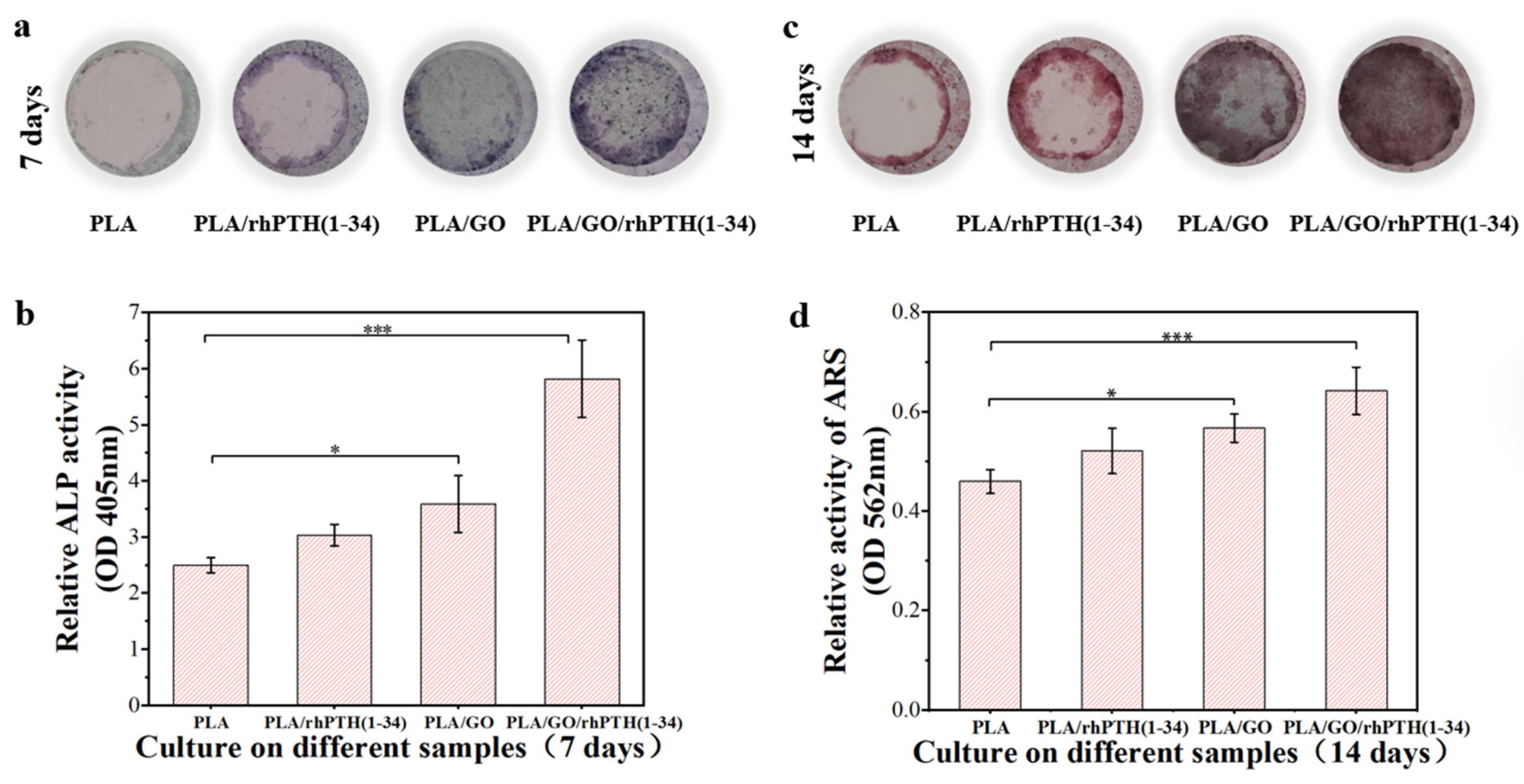 Ijms 24 05799 g008 Ijms 24 05799 g008