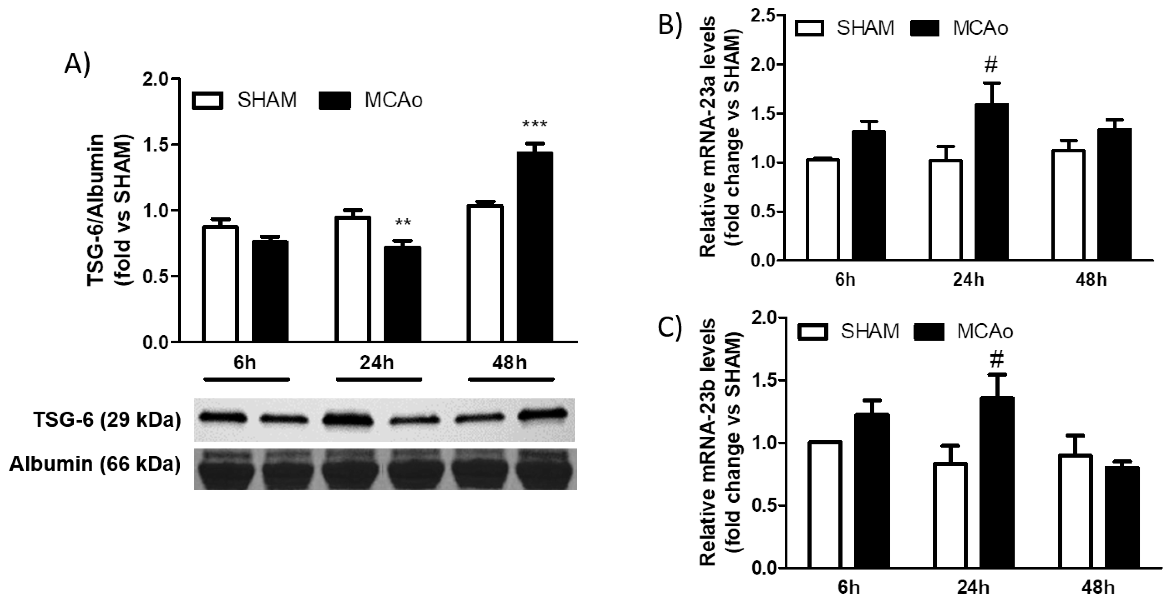 Ijms 24 05800 g002 Ijms 24 05800 g002
