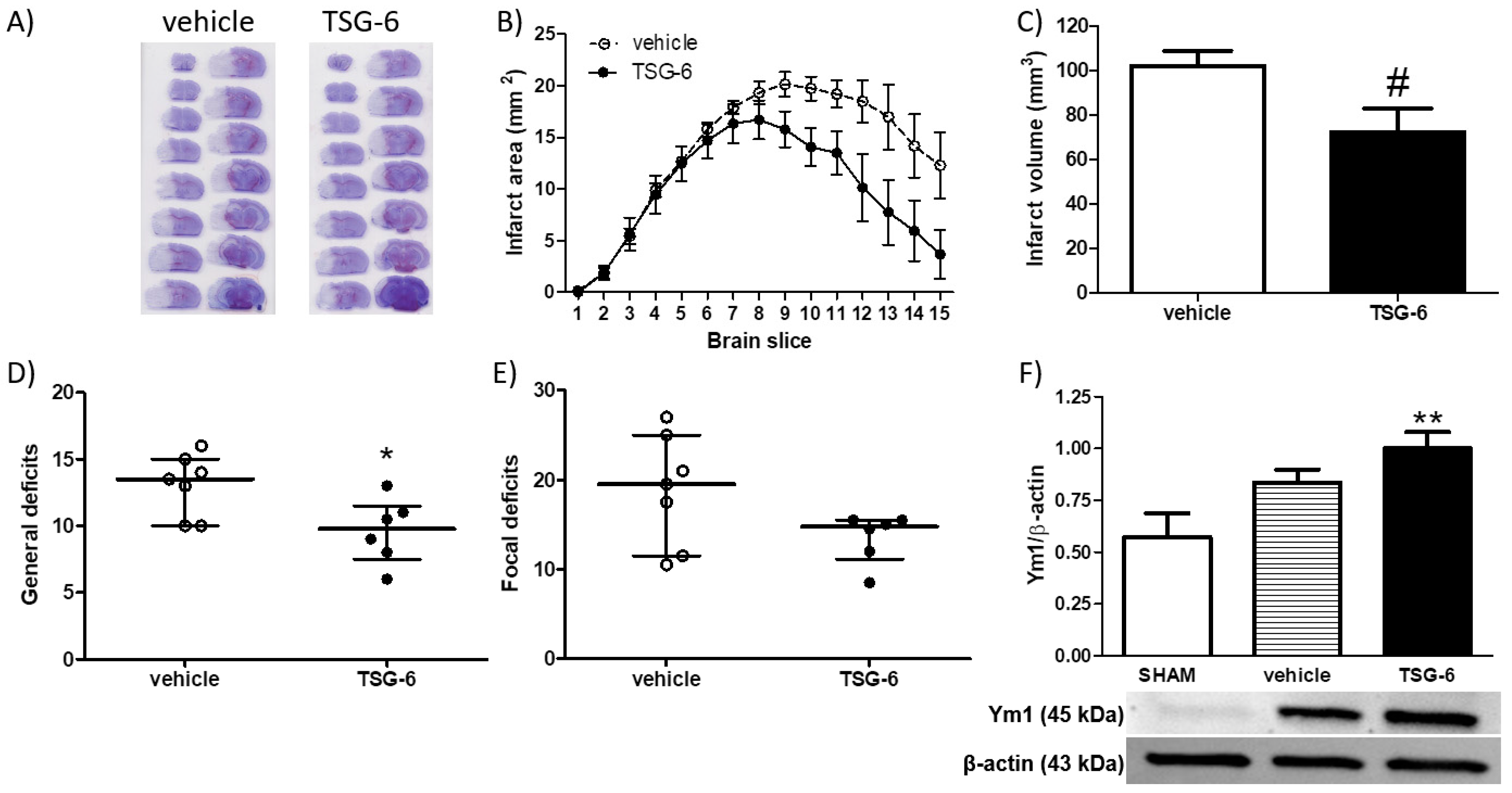 Ijms 24 05800 g004 Ijms 24 05800 g004