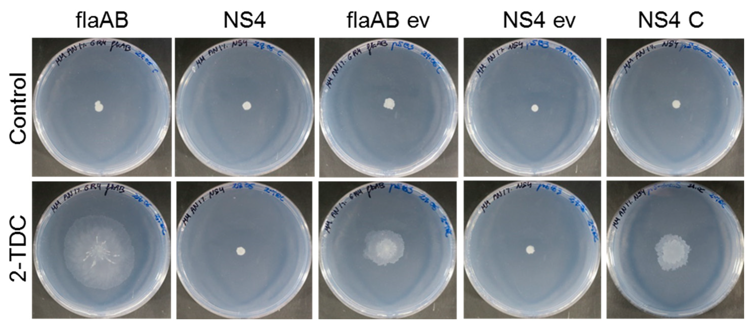 Ijms 24 05848 g002 Ijms 24 05848 g002