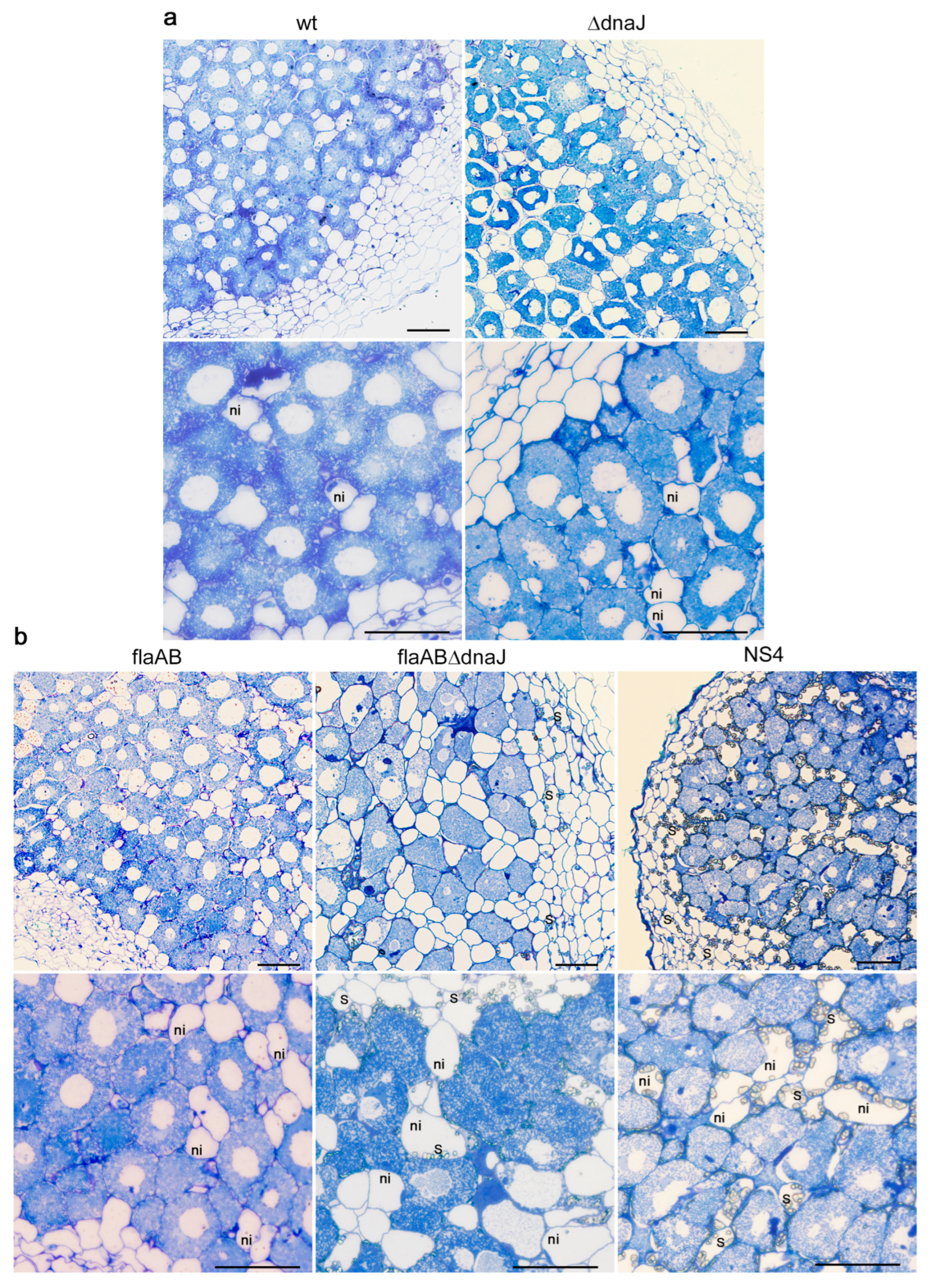 Ijms 24 05848 g009 Ijms 24 05848 g009