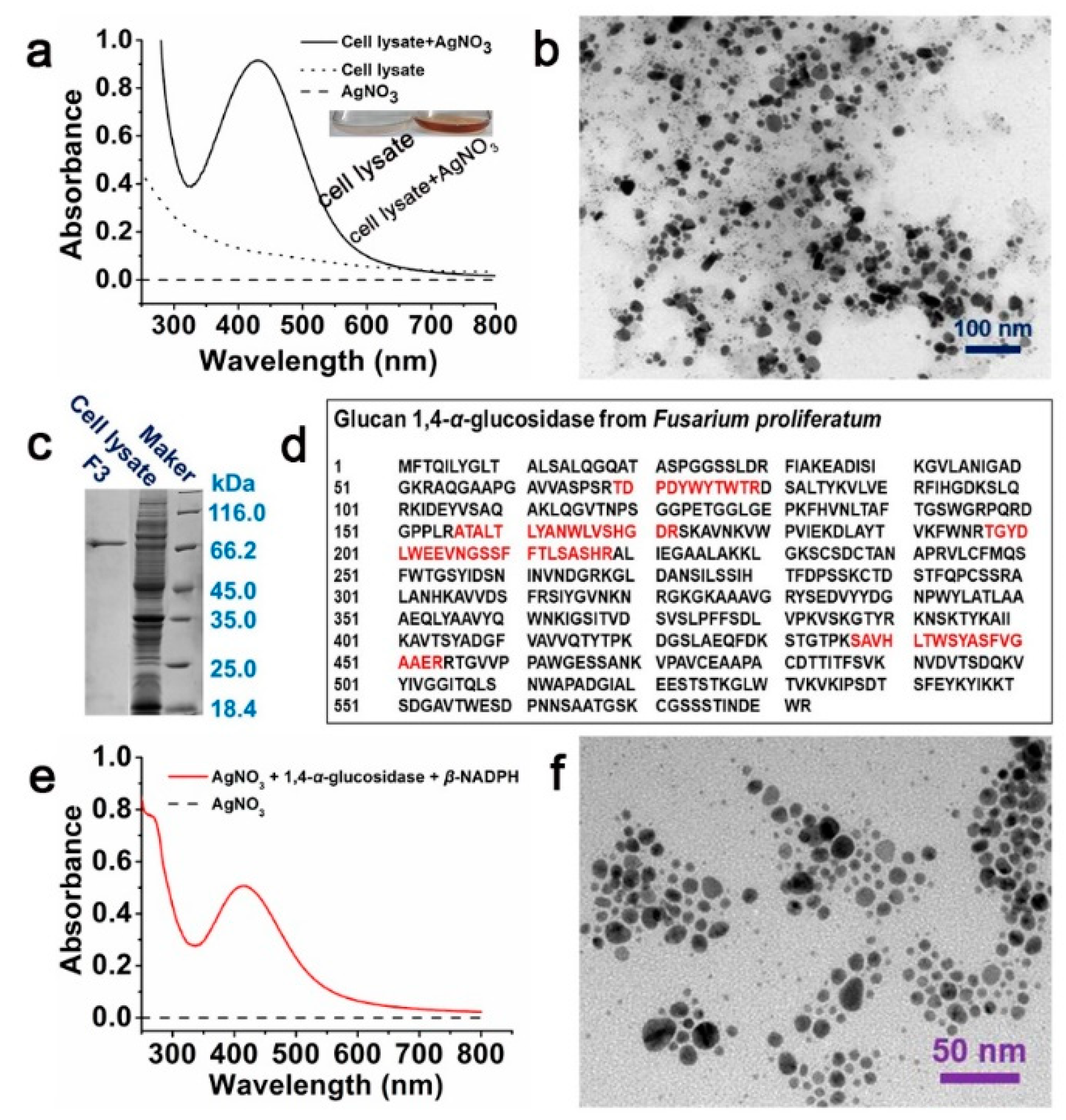 Ijms 24 05865 g001 Ijms 24 05865 g001
