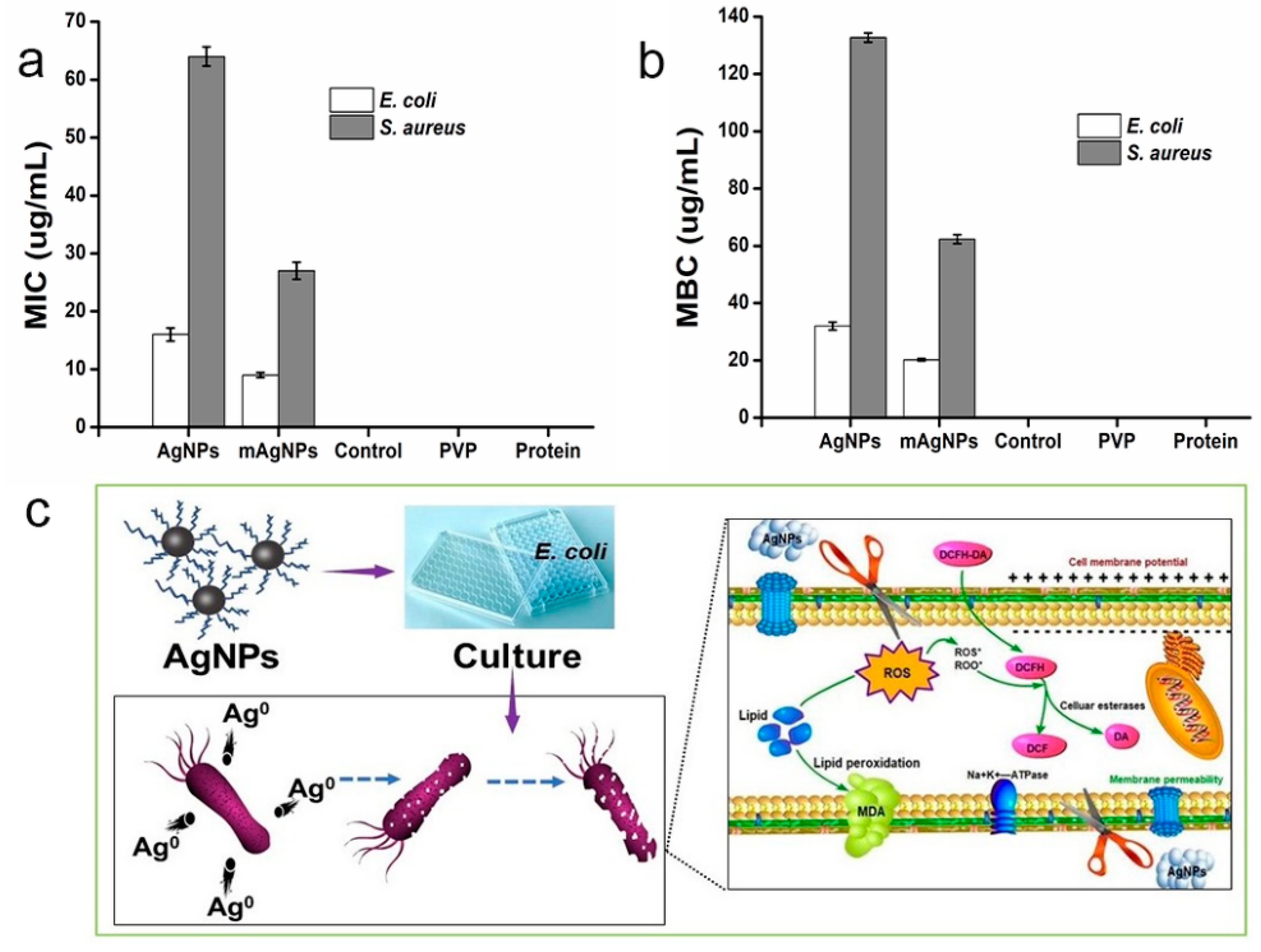 Ijms 24 05865 g003 Ijms 24 05865 g003