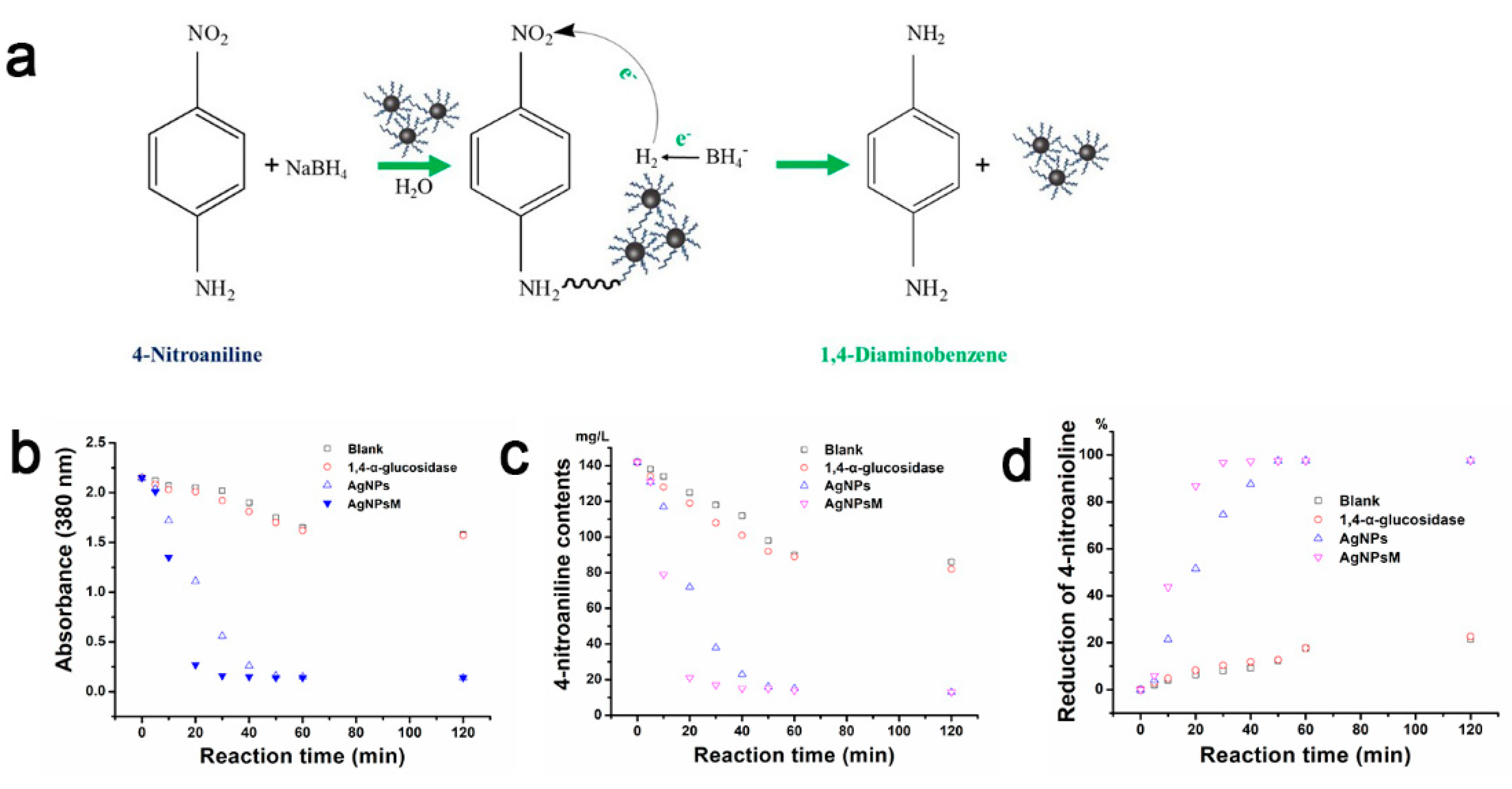 Ijms 24 05865 g005 Ijms 24 05865 g005