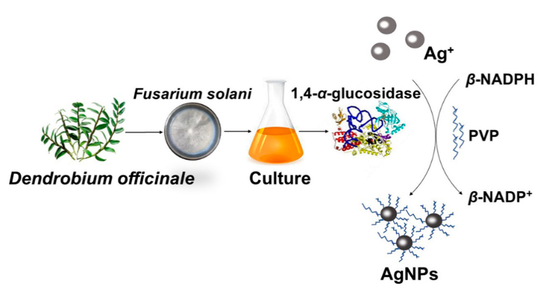 Ijms 24 05865 sch001 Ijms 24 05865 sch001