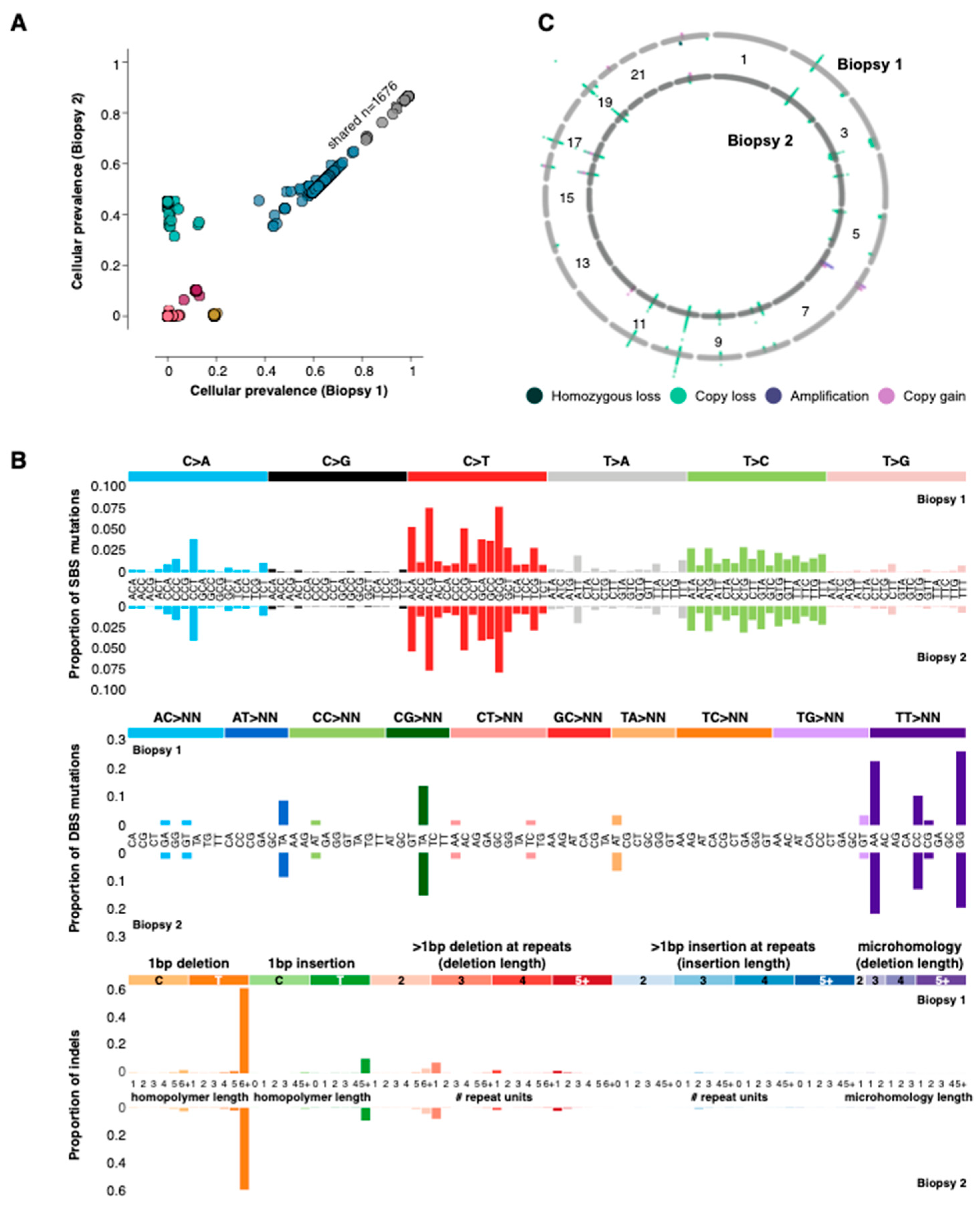 Ijms 24 05869 g002 Ijms 24 05869 g002