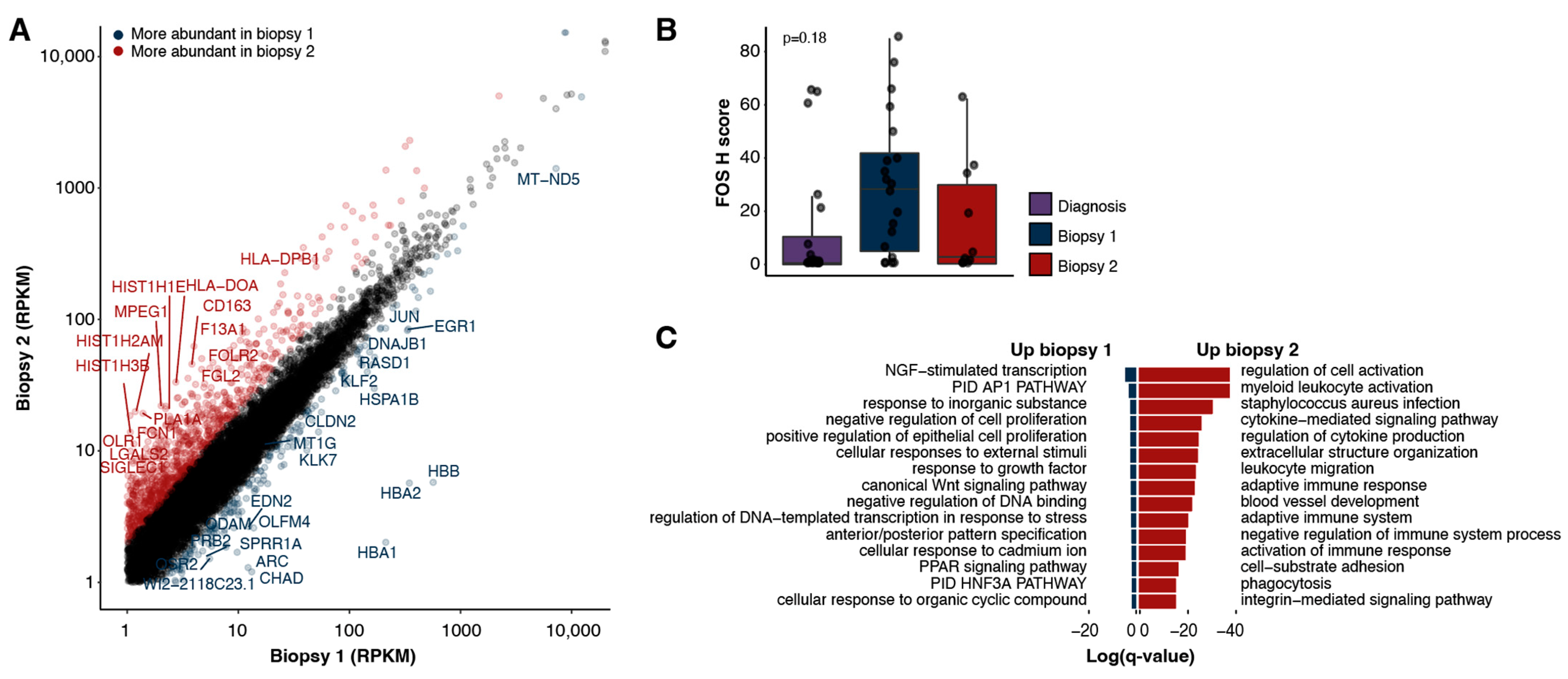Ijms 24 05869 g003 Ijms 24 05869 g003