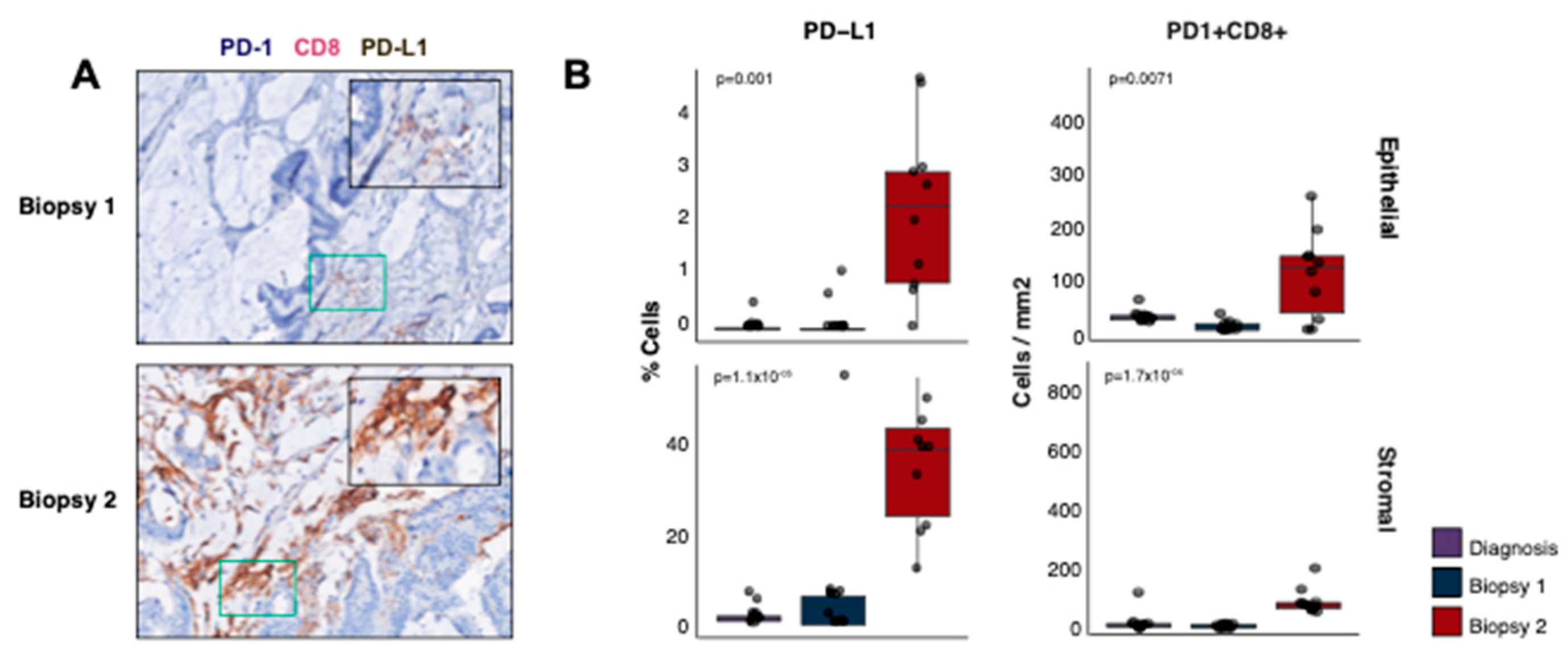 Ijms 24 05869 g005 Ijms 24 05869 g005