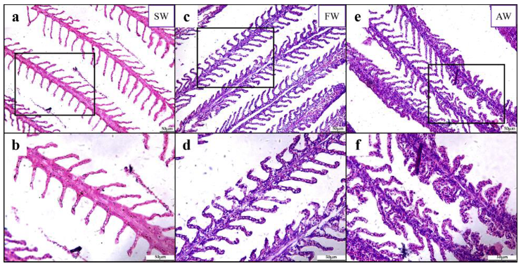 Ijms 24 05877 g001 Ijms 24 05877 g001
