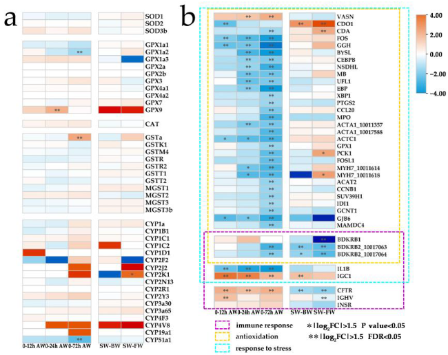 Ijms 24 05877 g005 Ijms 24 05877 g005