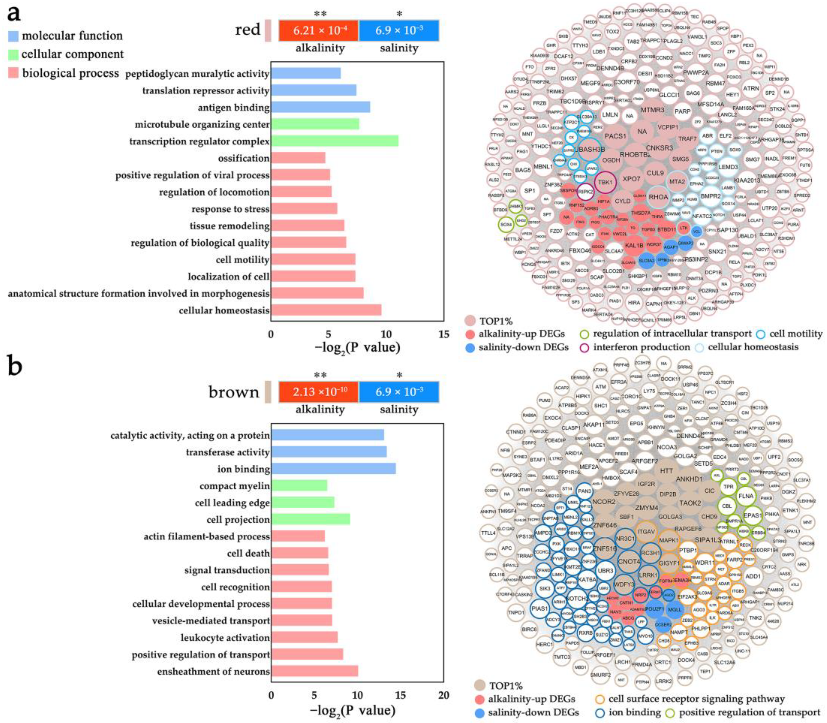 Ijms 24 05877 g006 Ijms 24 05877 g006