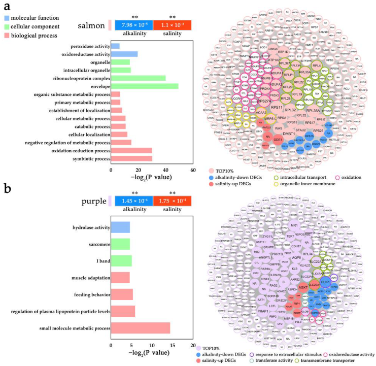 Ijms 24 05877 g007 Ijms 24 05877 g007