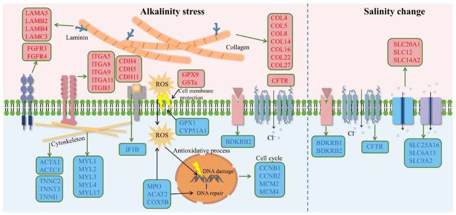 Ijms 24 05877 g008 Ijms 24 05877 g008