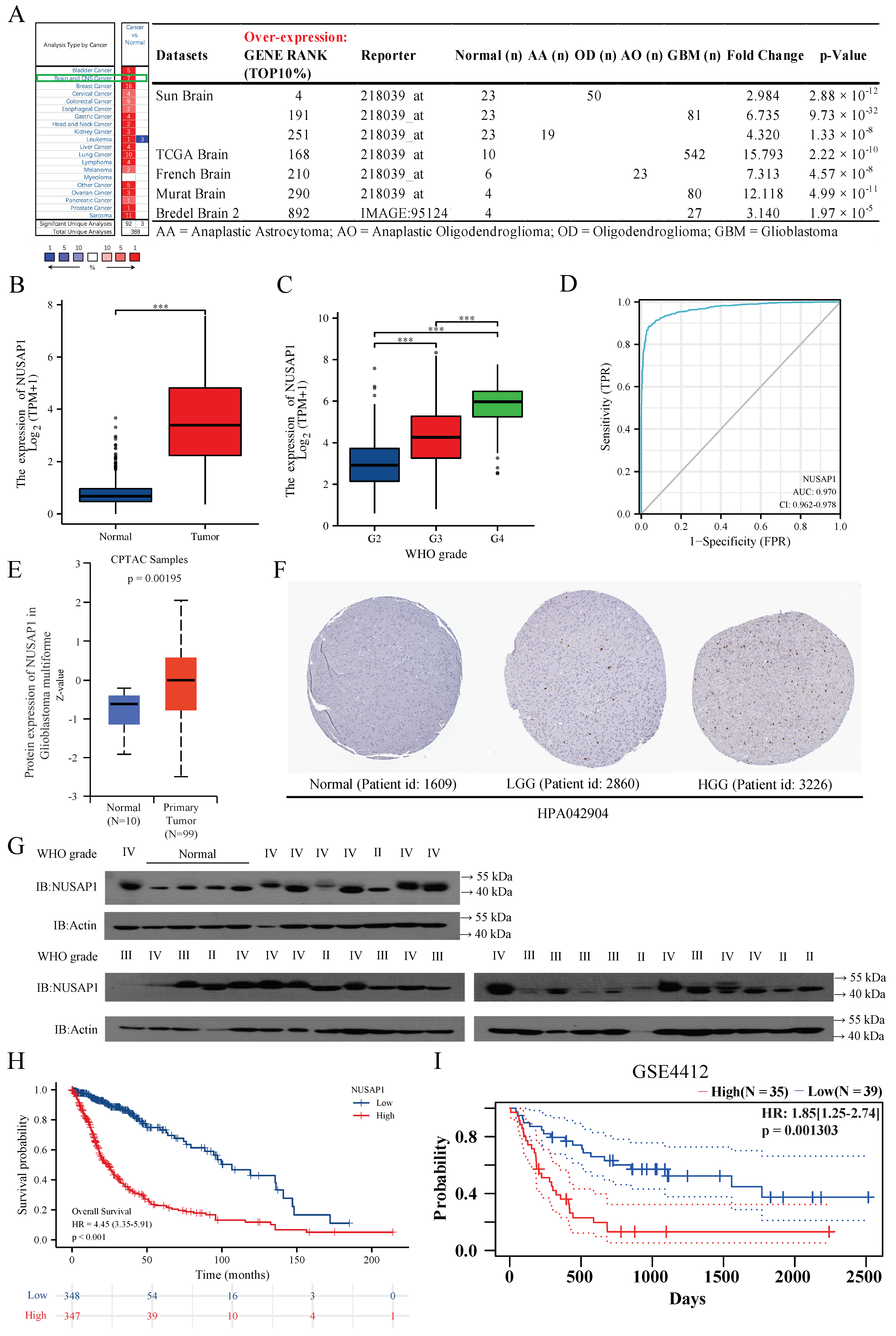 Ijms 24 05878 g001 Ijms 24 05878 g001