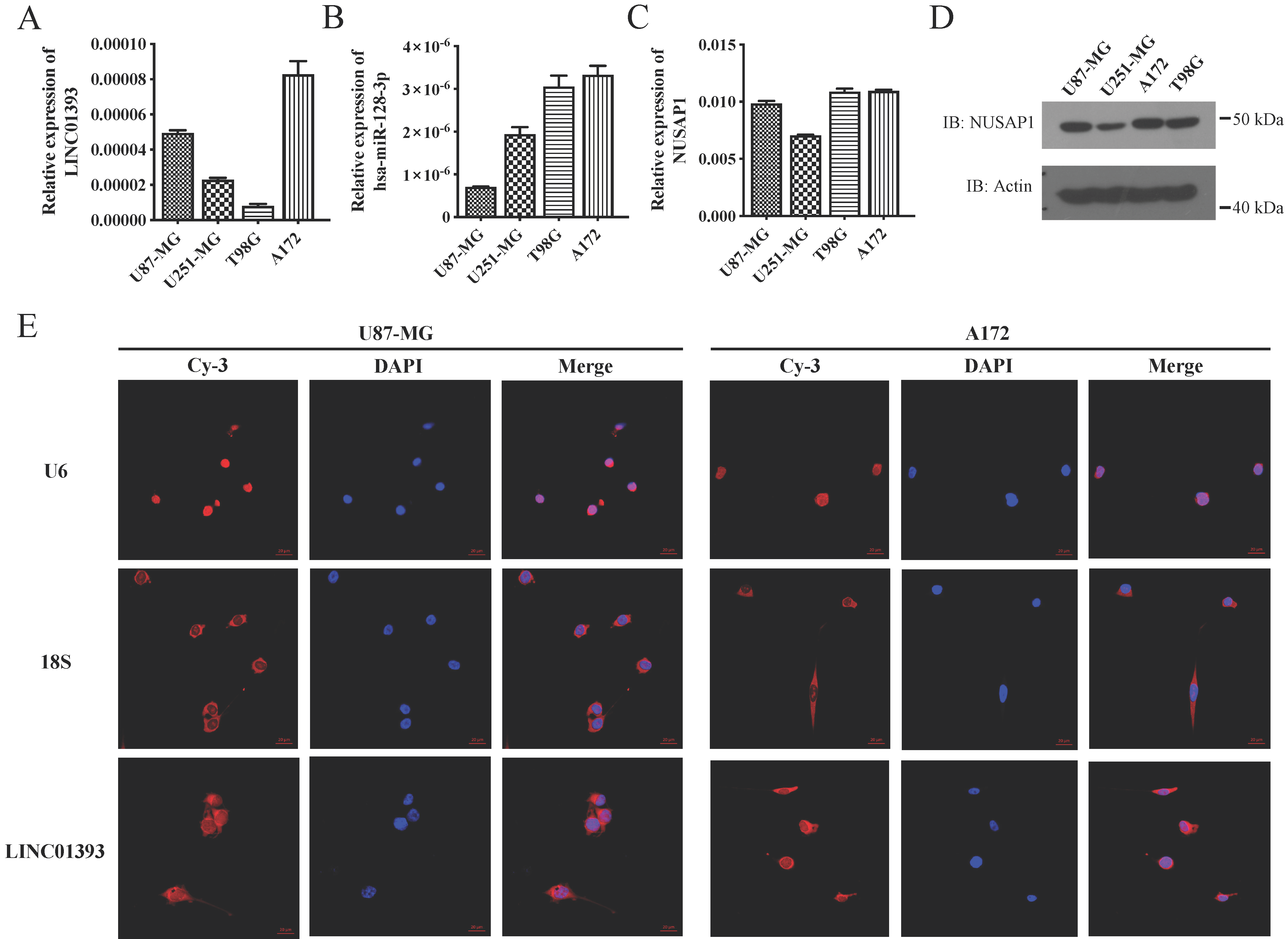 Ijms 24 05878 g003 Ijms 24 05878 g003