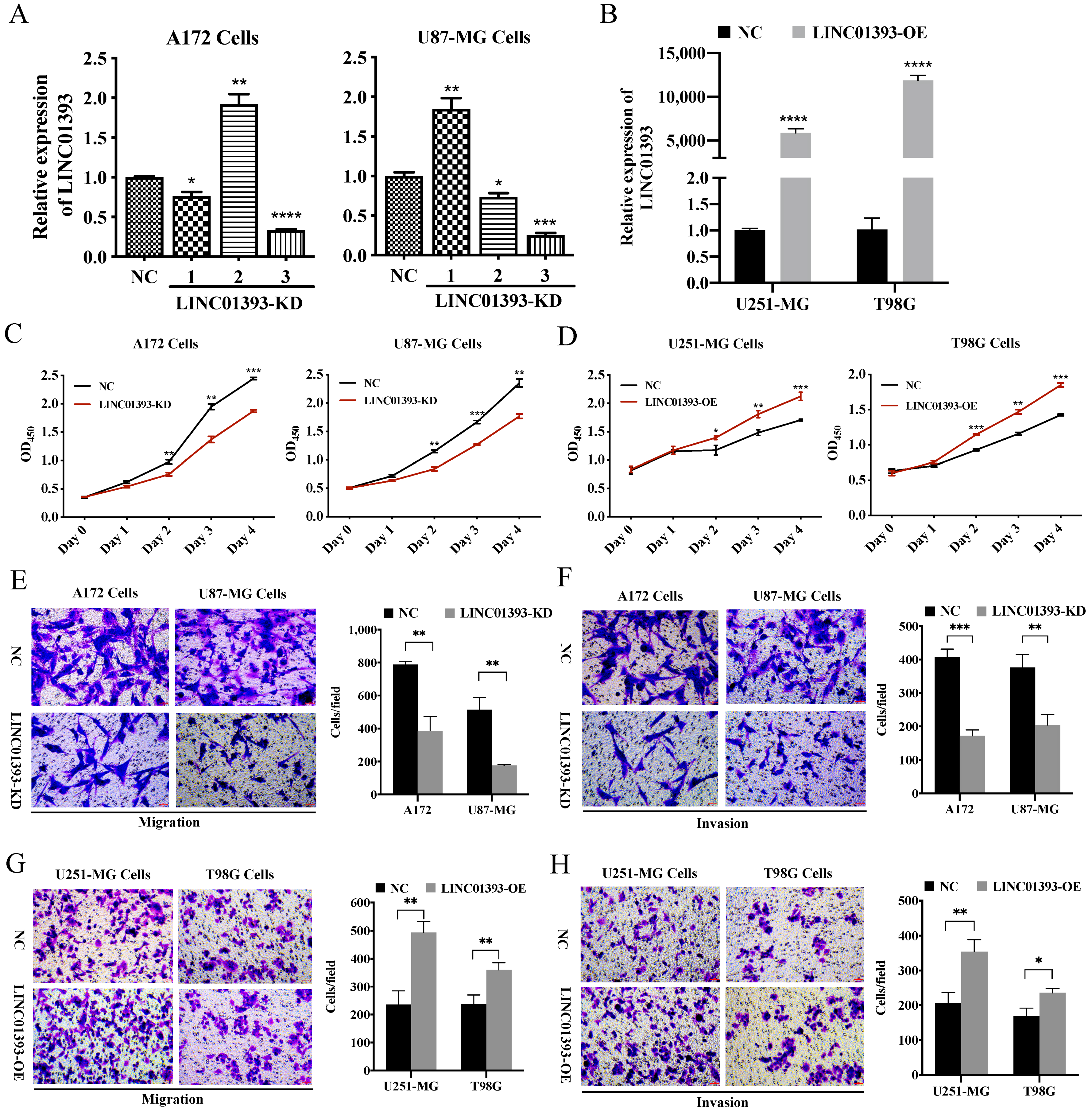 Ijms 24 05878 g004 Ijms 24 05878 g004