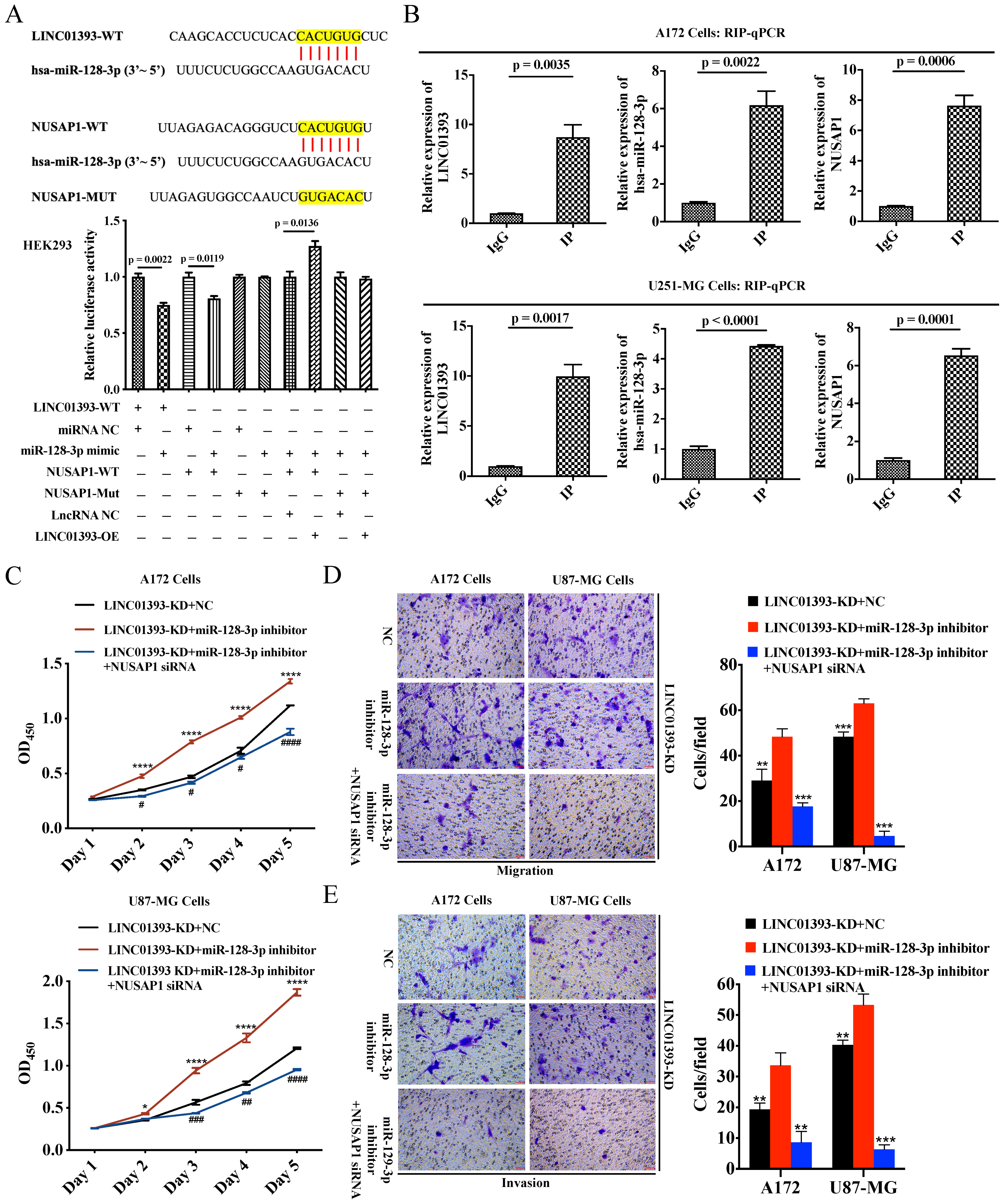 Ijms 24 05878 g005 Ijms 24 05878 g005