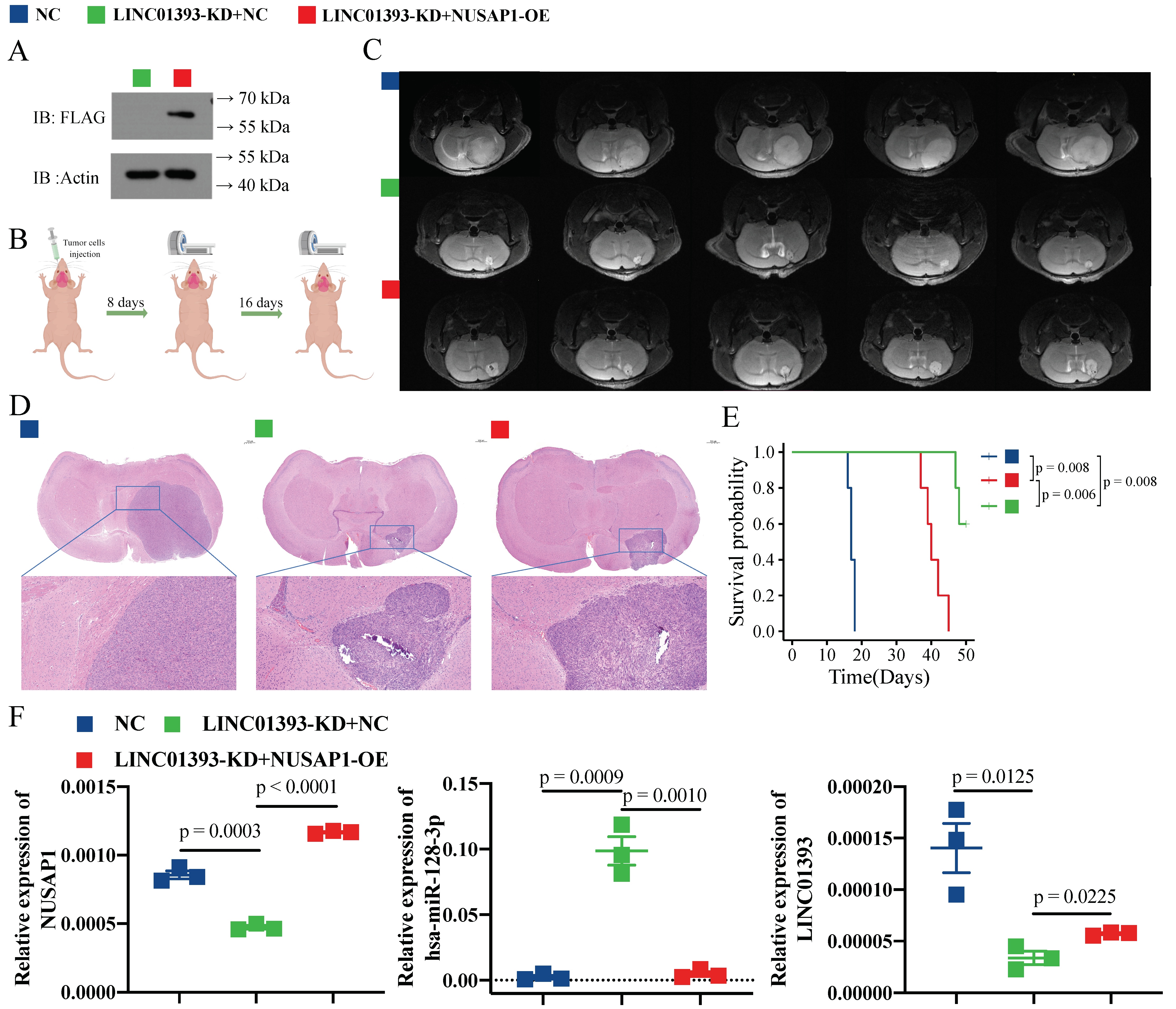 Ijms 24 05878 g006 Ijms 24 05878 g006