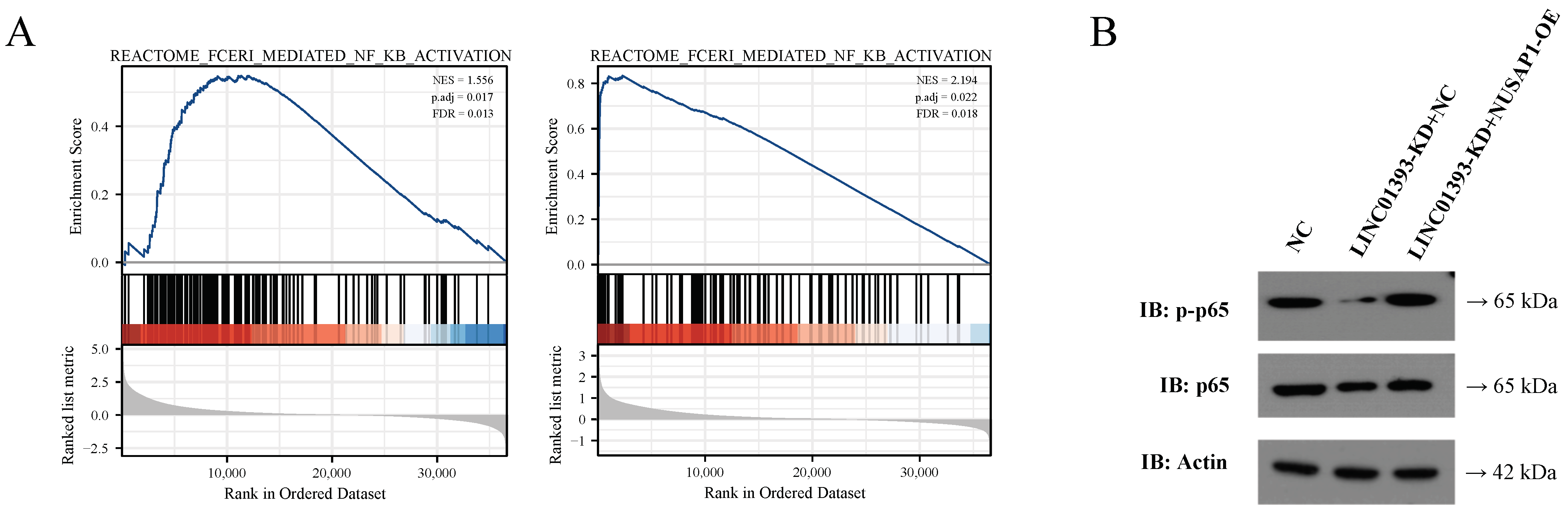 Ijms 24 05878 g007 Ijms 24 05878 g007