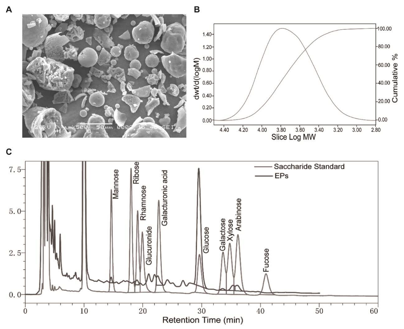 Ijms 24 05881 g001 Ijms 24 05881 g001