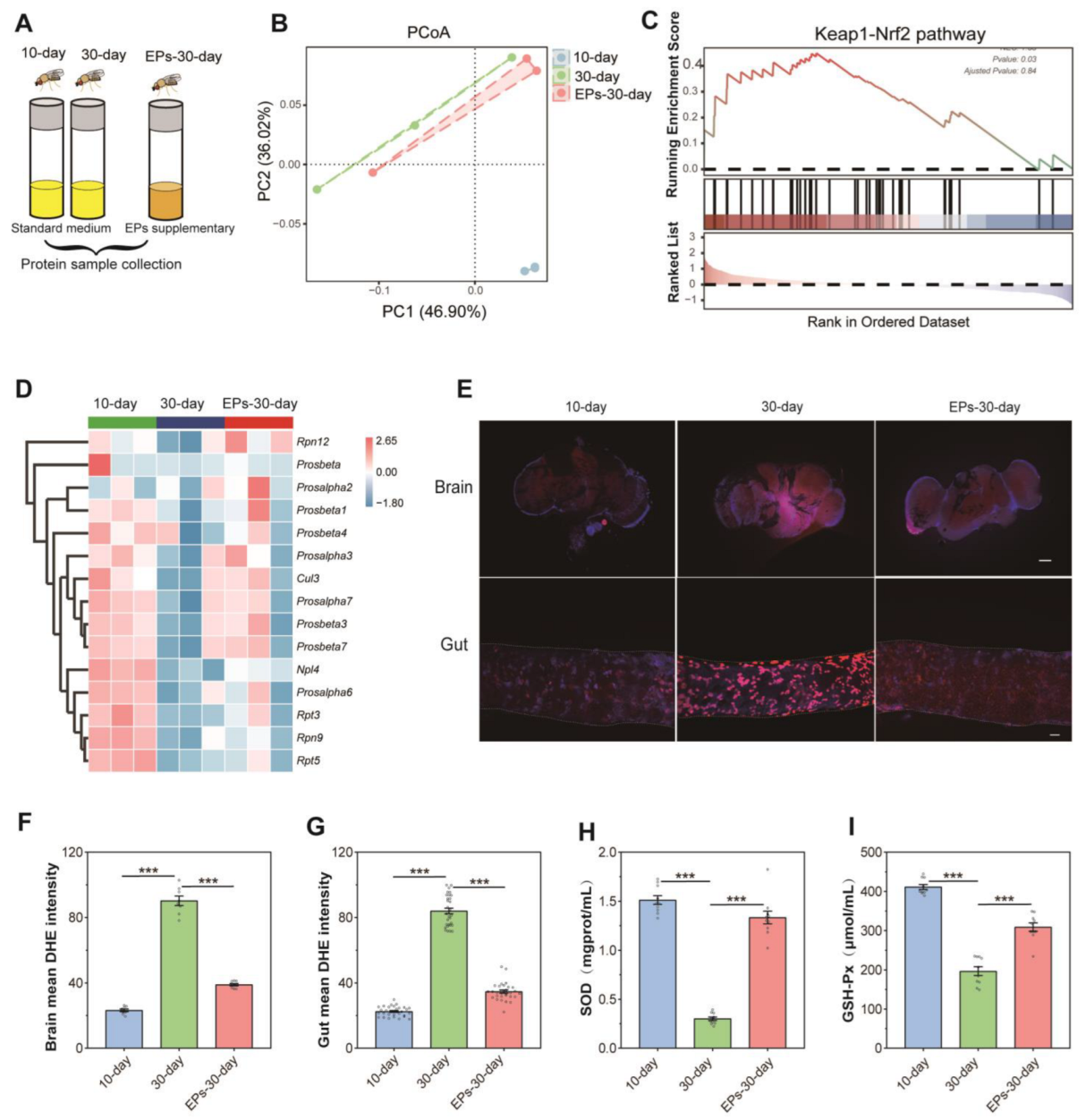 Ijms 24 05881 g004 Ijms 24 05881 g004