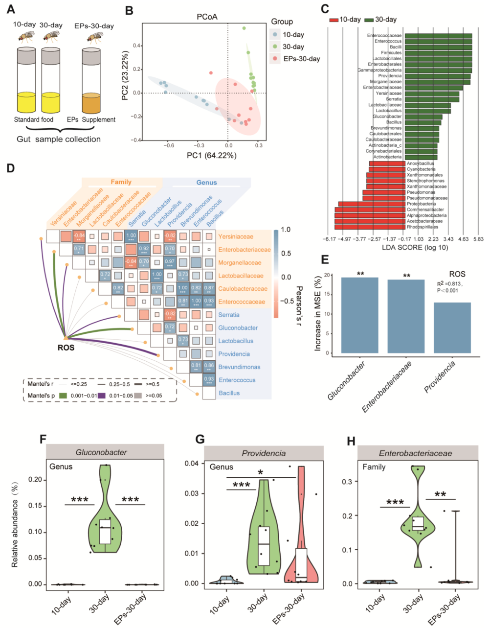 Ijms 24 05881 g005 Ijms 24 05881 g005