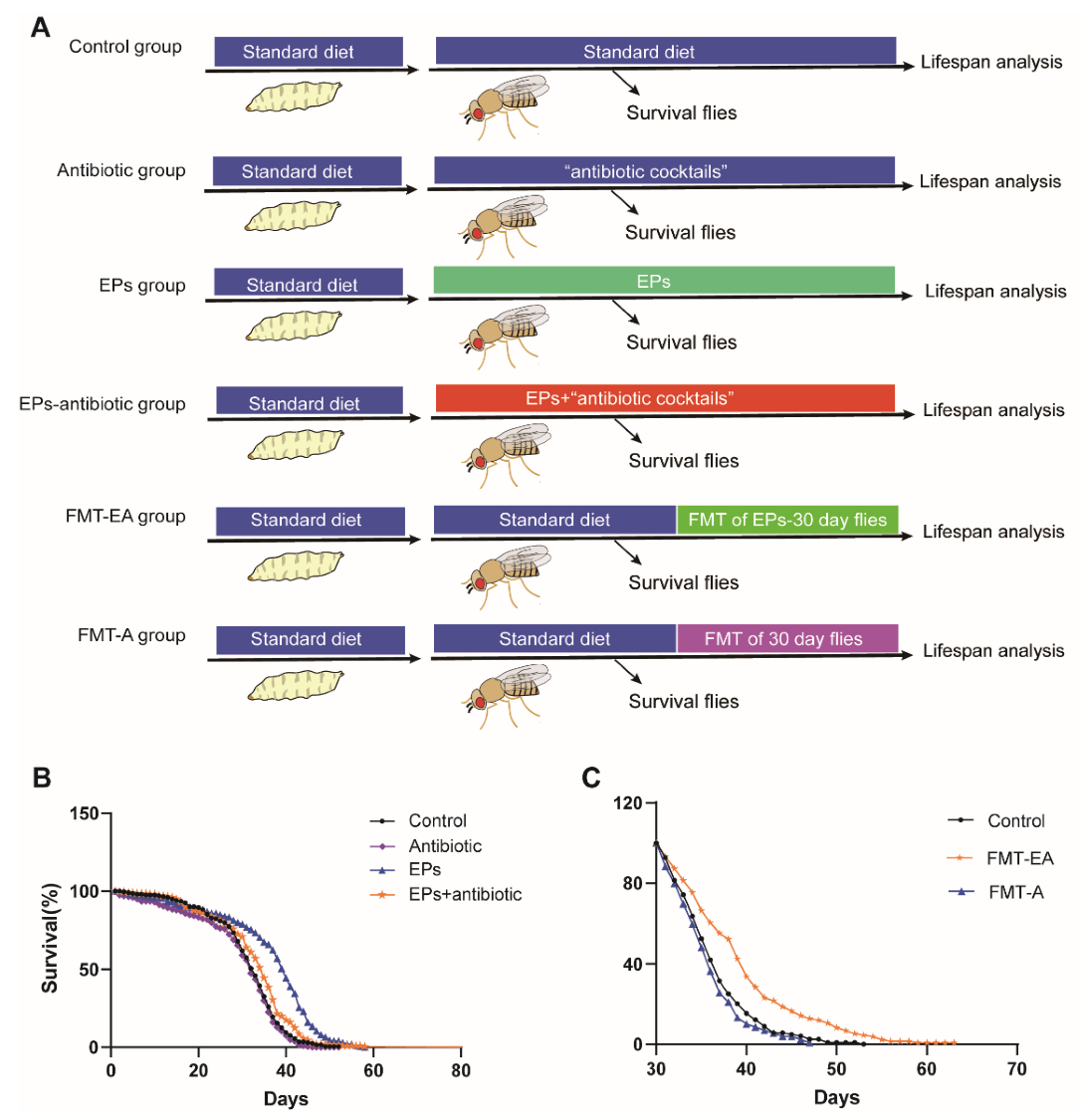 Ijms 24 05881 g006 Ijms 24 05881 g006