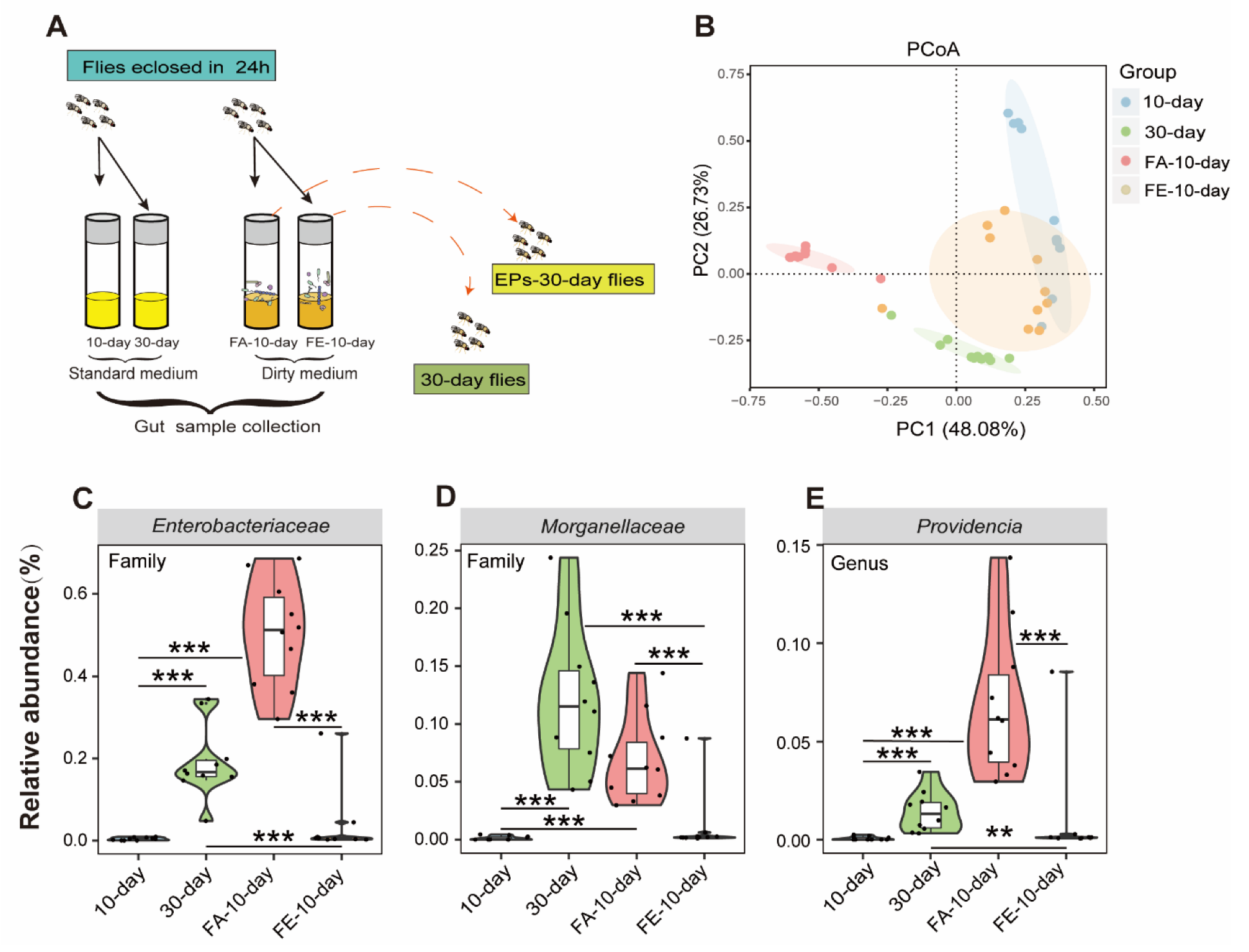 Ijms 24 05881 g007 Ijms 24 05881 g007