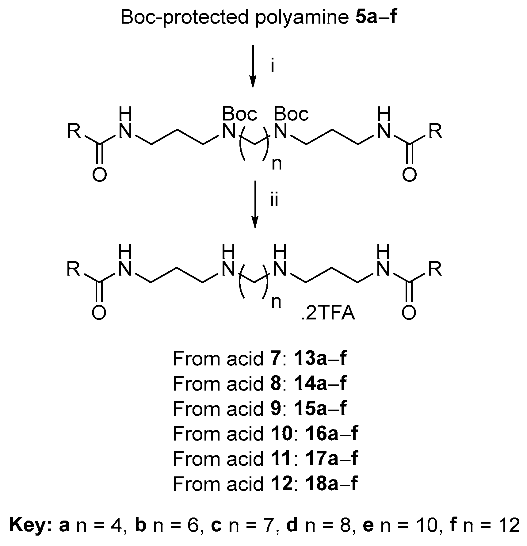 Ijms 24 05882 sch002