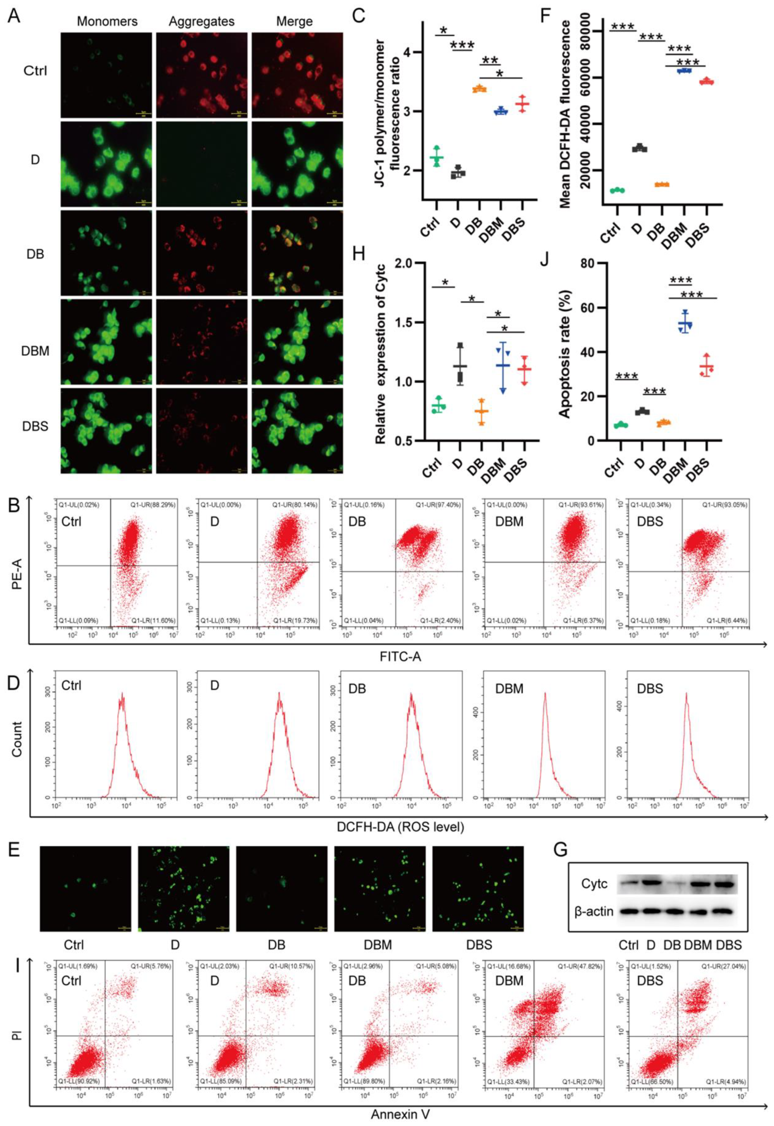 Ijms 24 05896 g001 Ijms 24 05896 g001
