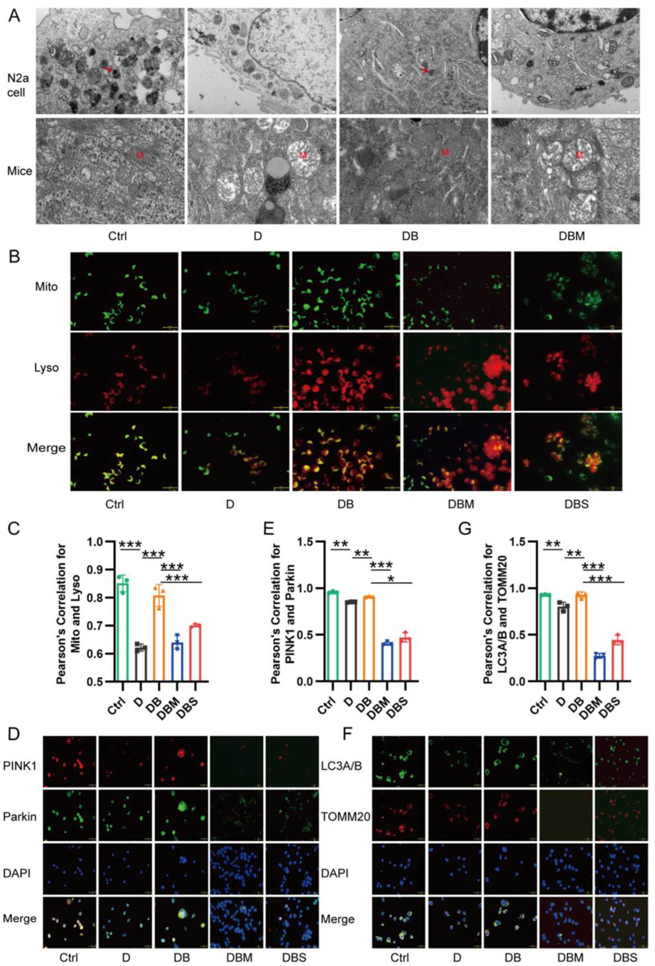 Ijms 24 05896 g002 Ijms 24 05896 g002