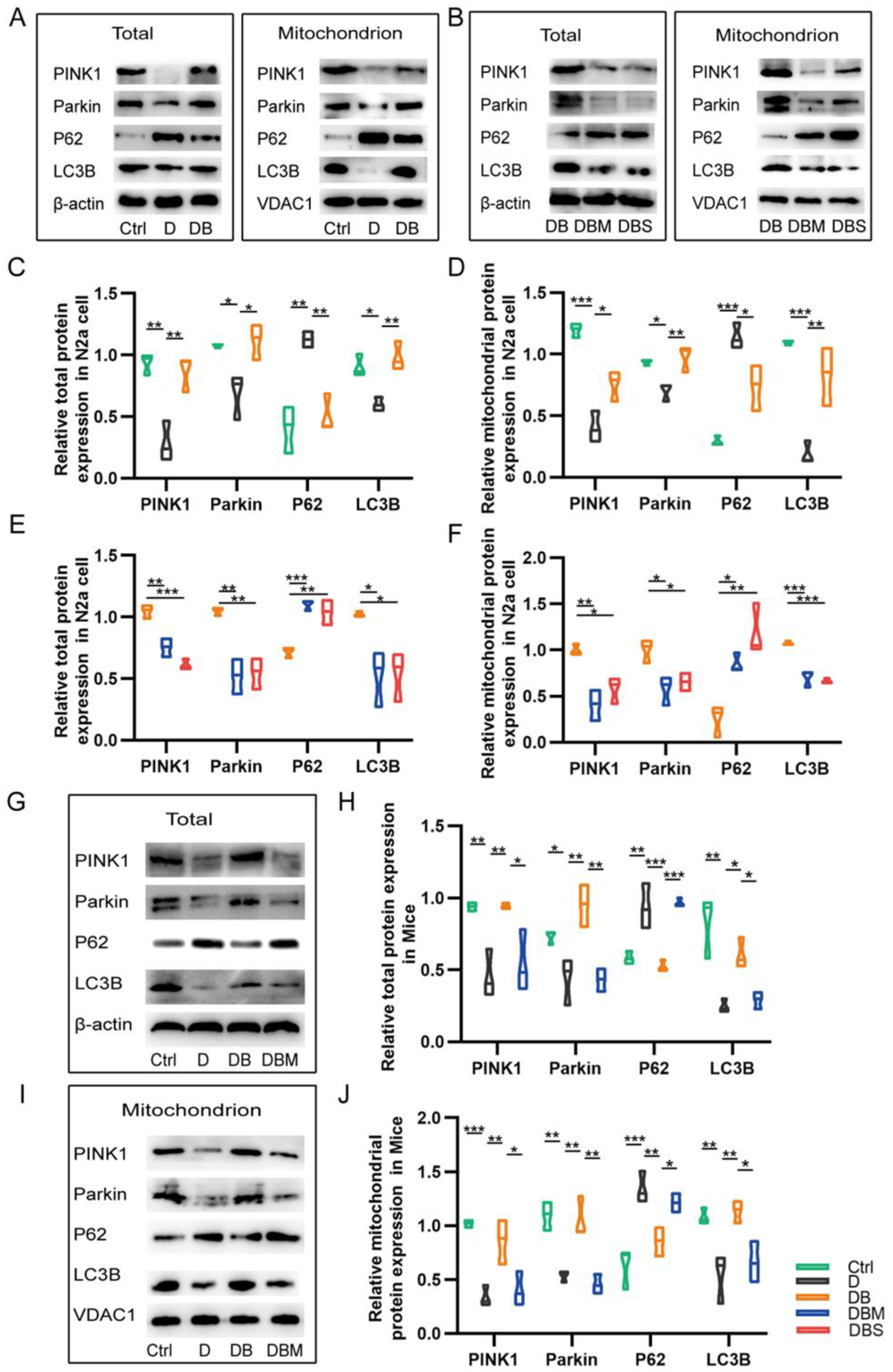 Ijms 24 05896 g003 Ijms 24 05896 g003