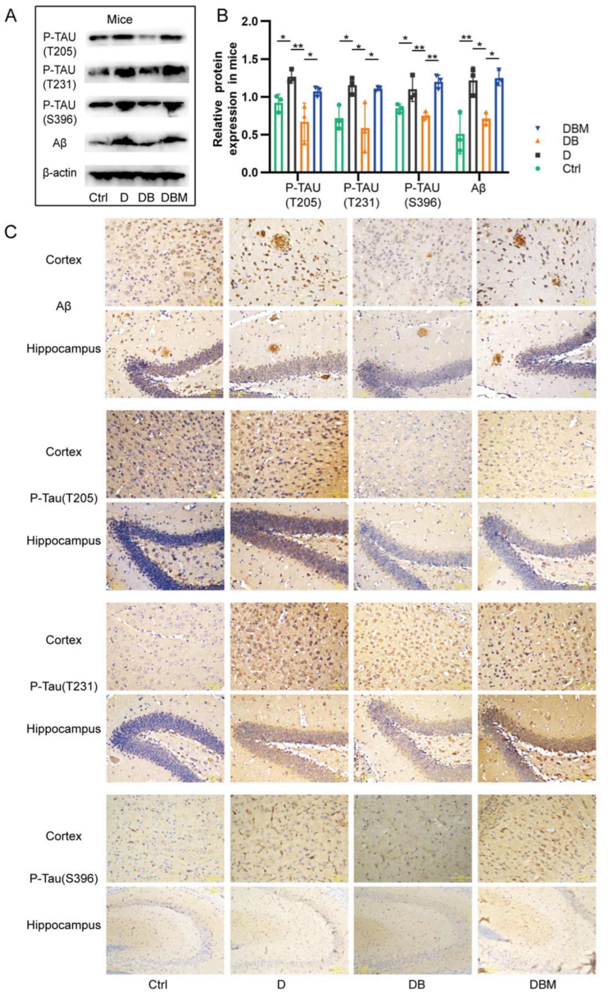 Ijms 24 05896 g004 Ijms 24 05896 g004