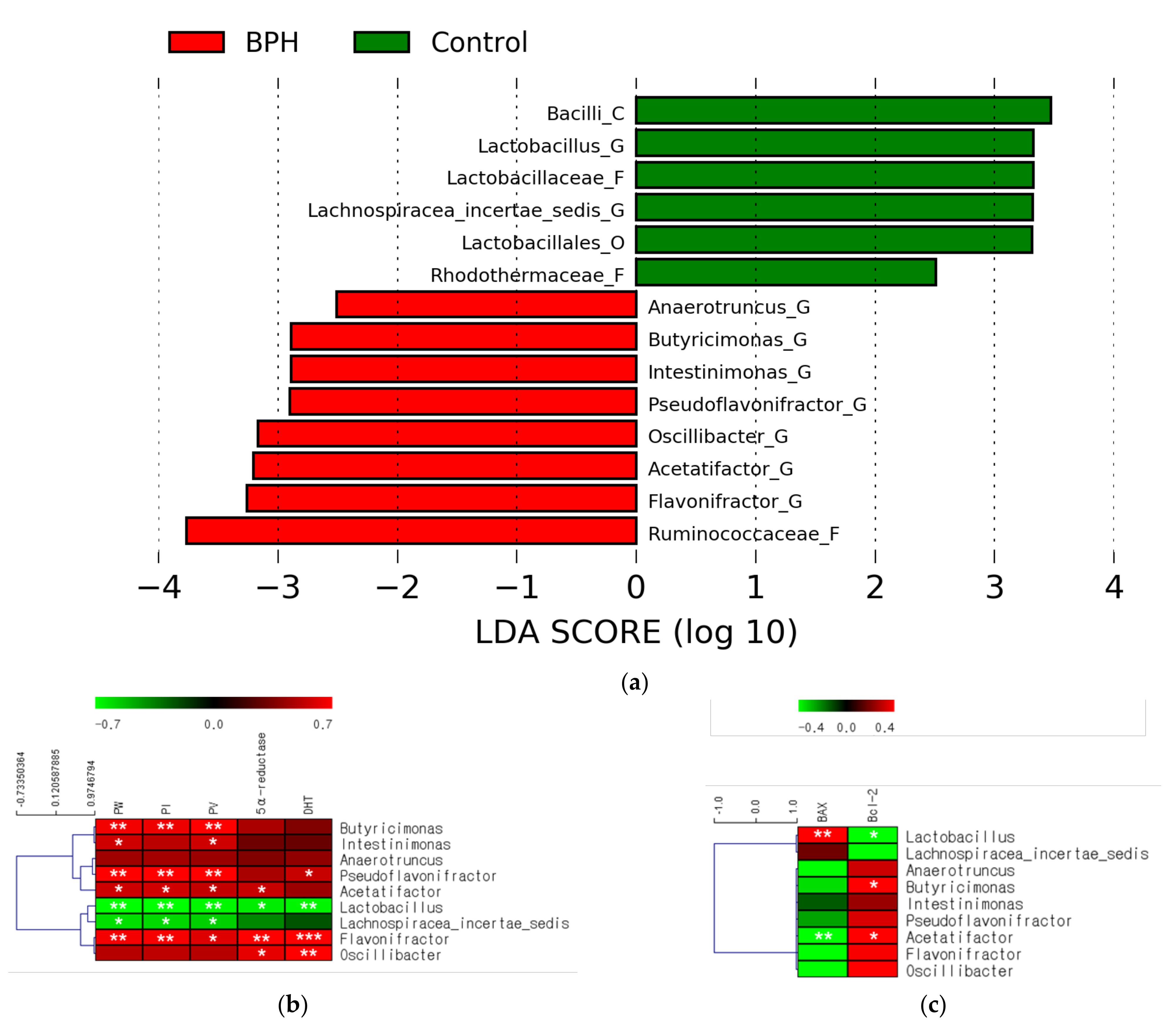 Ijms 24 05904 g002 Ijms 24 05904 g002