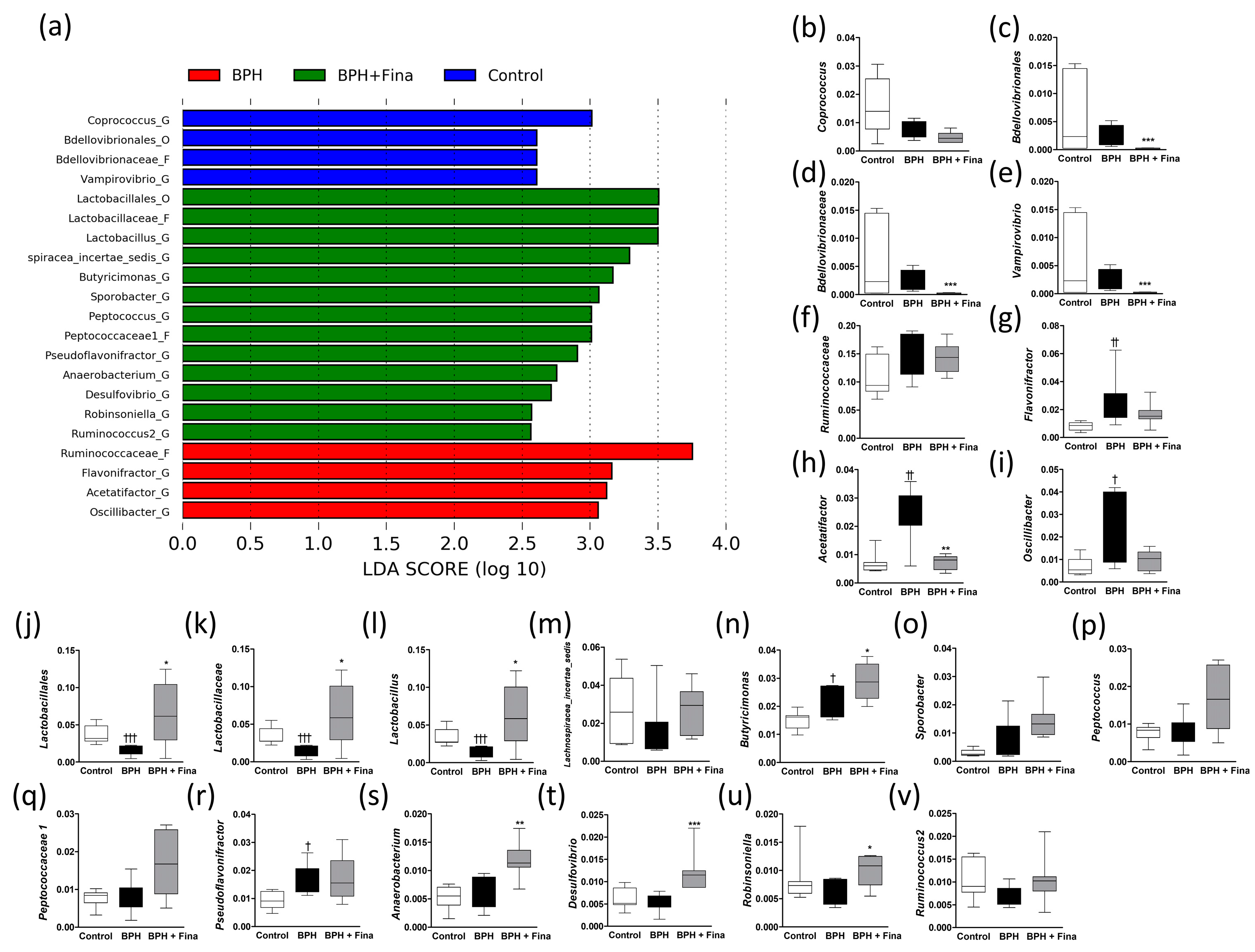 Ijms 24 05904 g004 Ijms 24 05904 g004