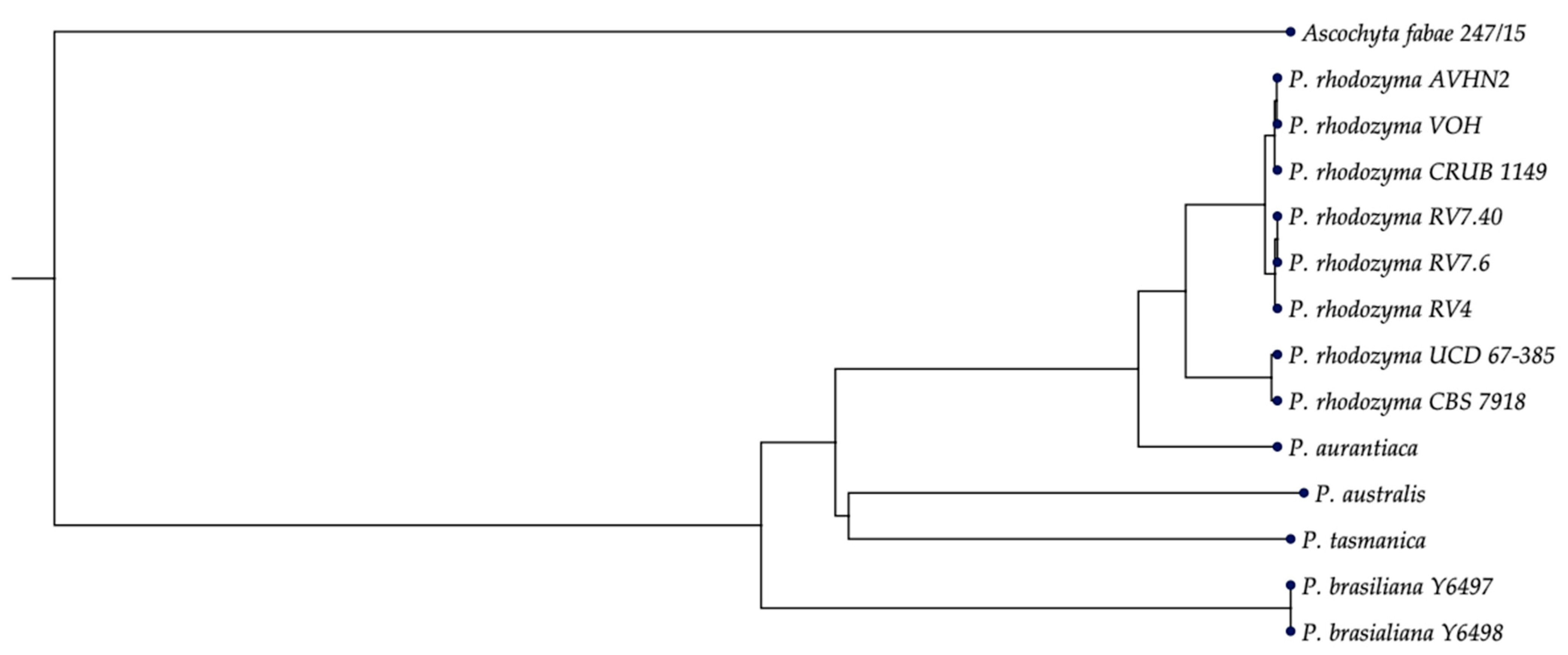 Ijms 24 05930 g008
