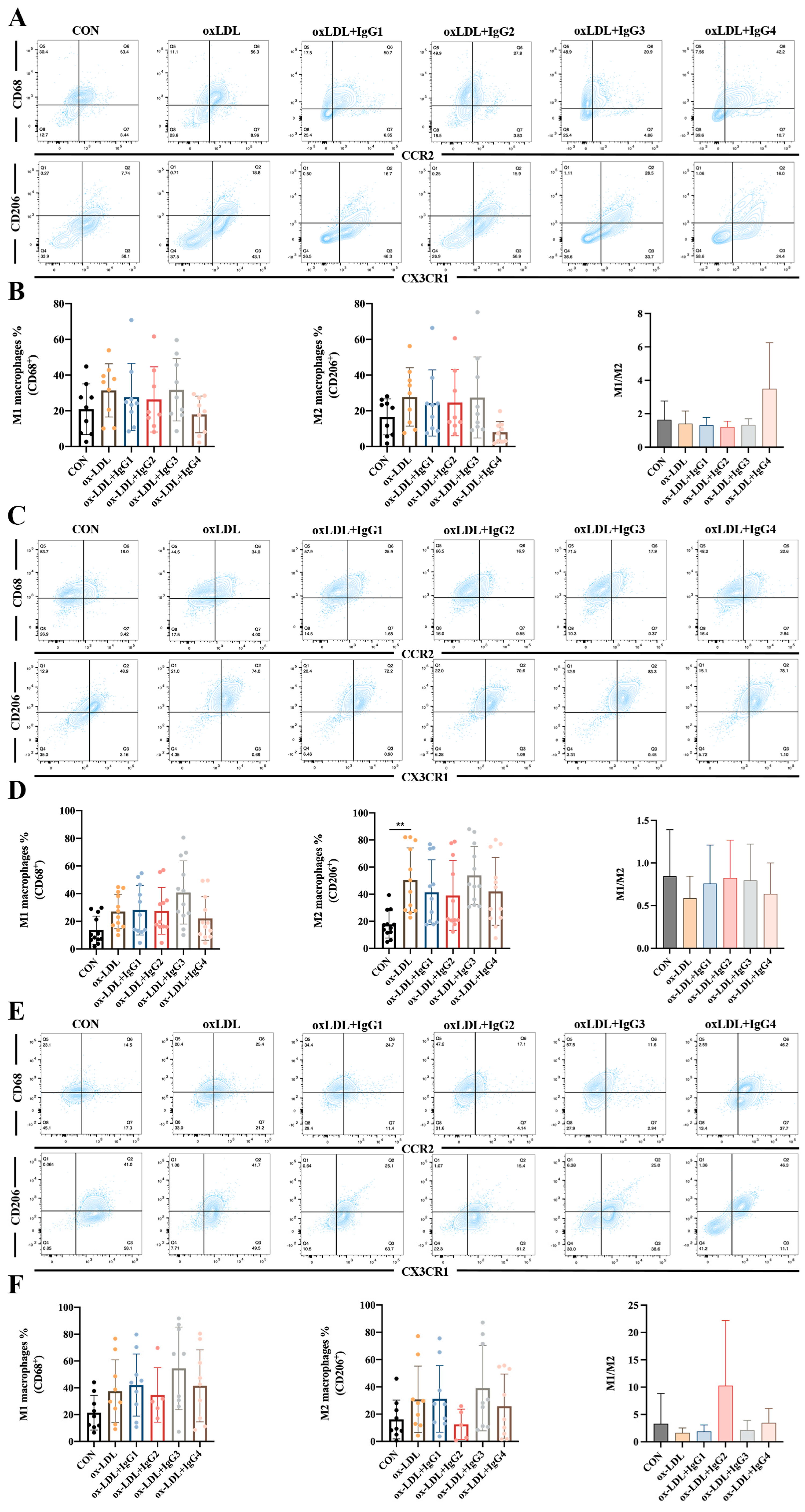 Ijms 24 05932 g004 Ijms 24 05932 g004