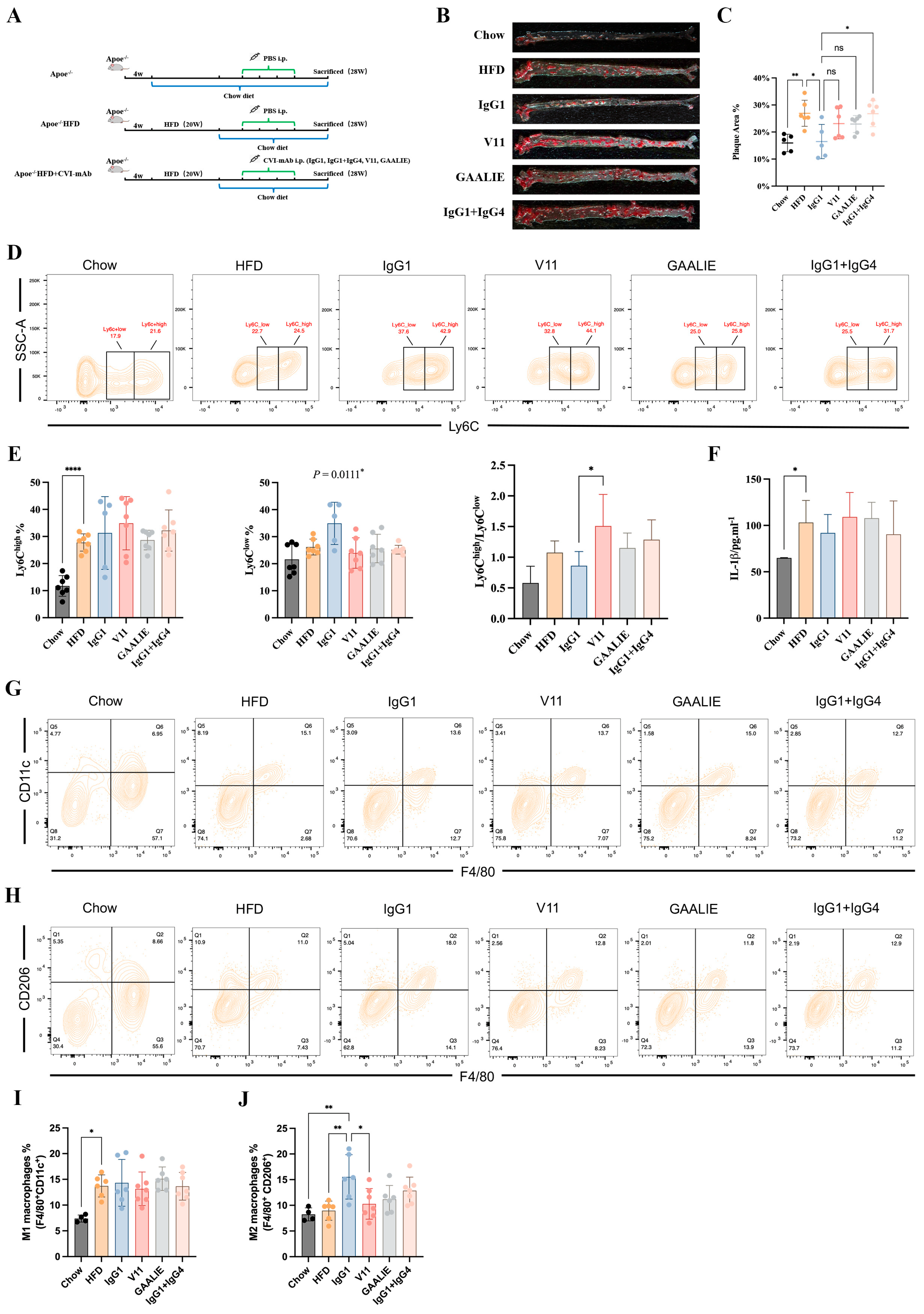 Ijms 24 05932 g008 Ijms 24 05932 g008