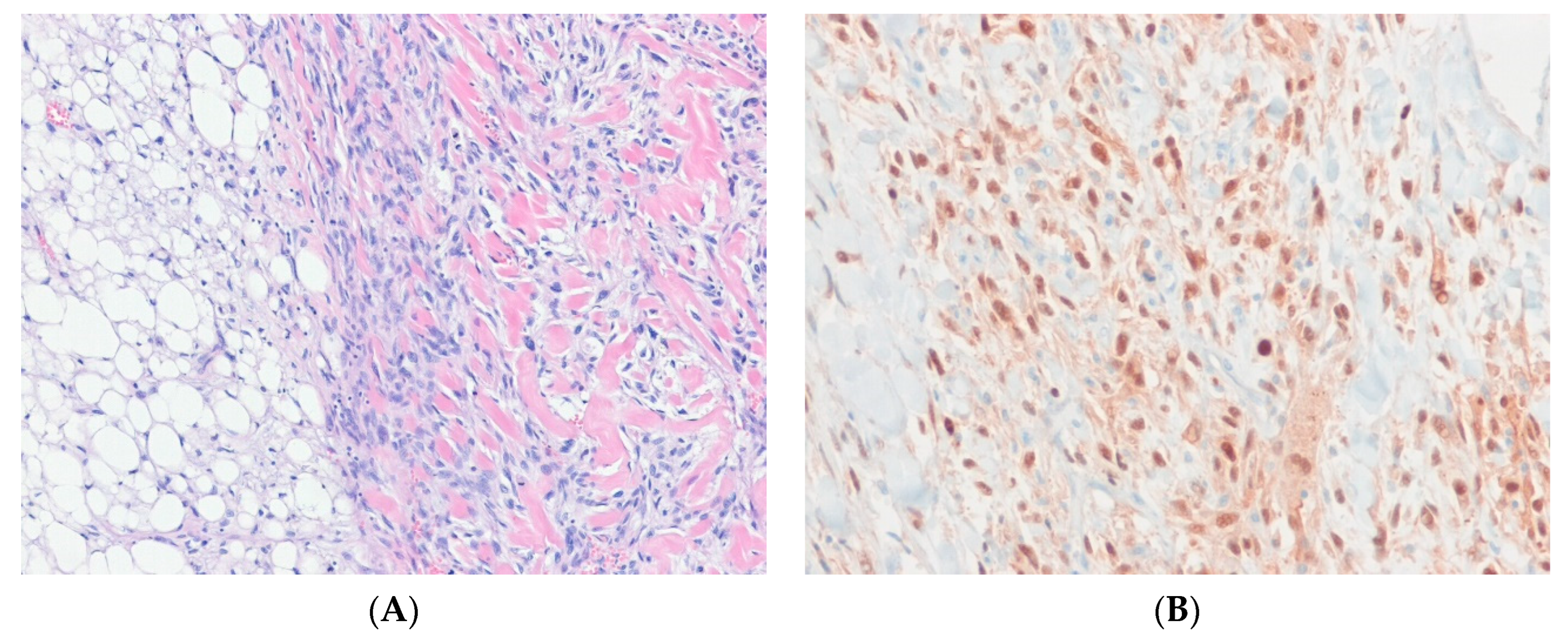 Ijms 24 05934 g001 Ijms 24 05934 g001